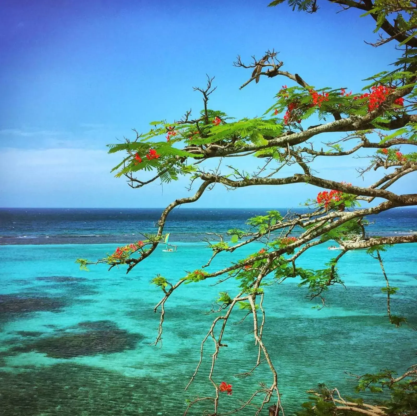 Sea view in Hibiscus Lodge Hotel