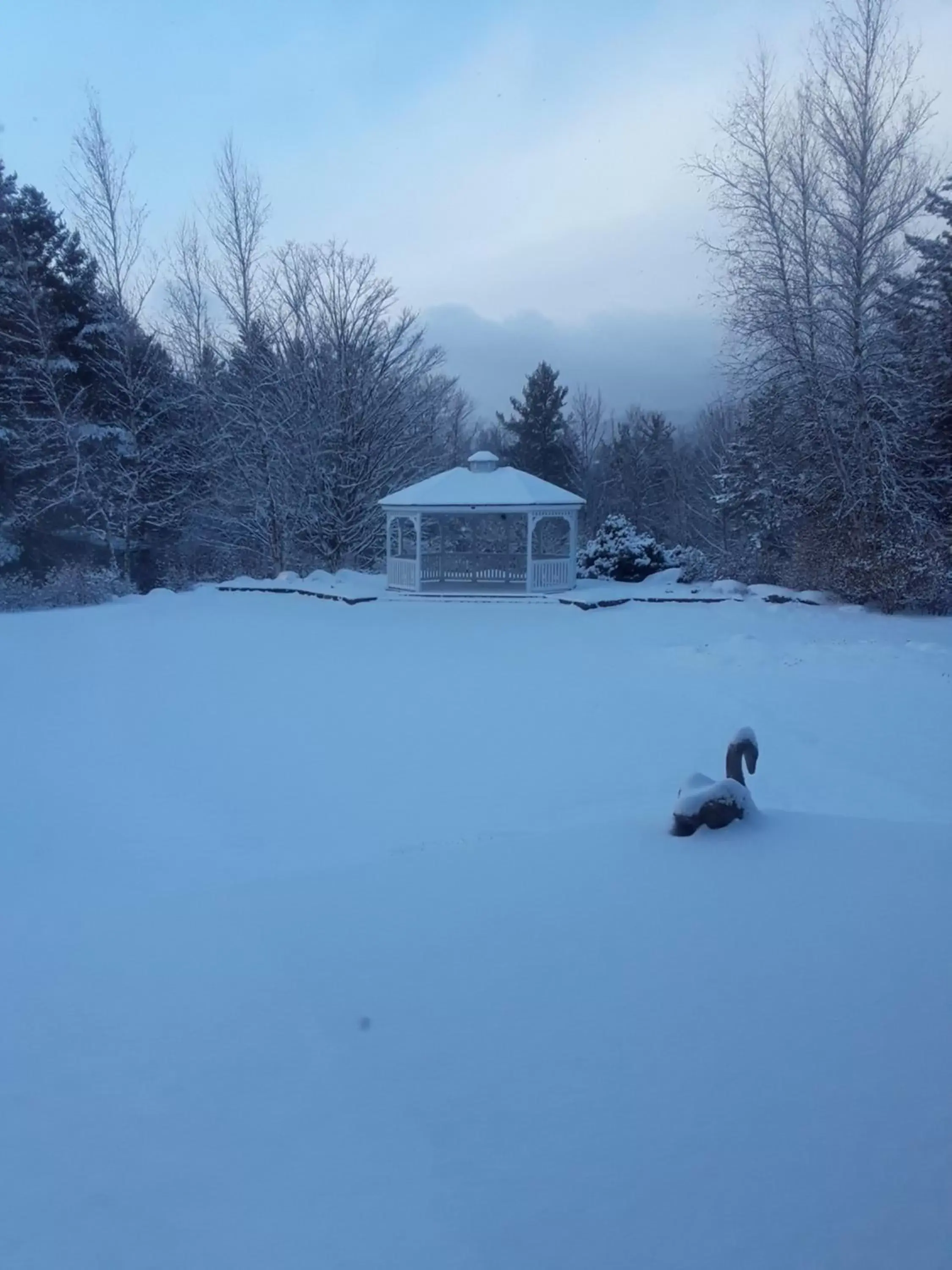 Winter in Summit Lodge