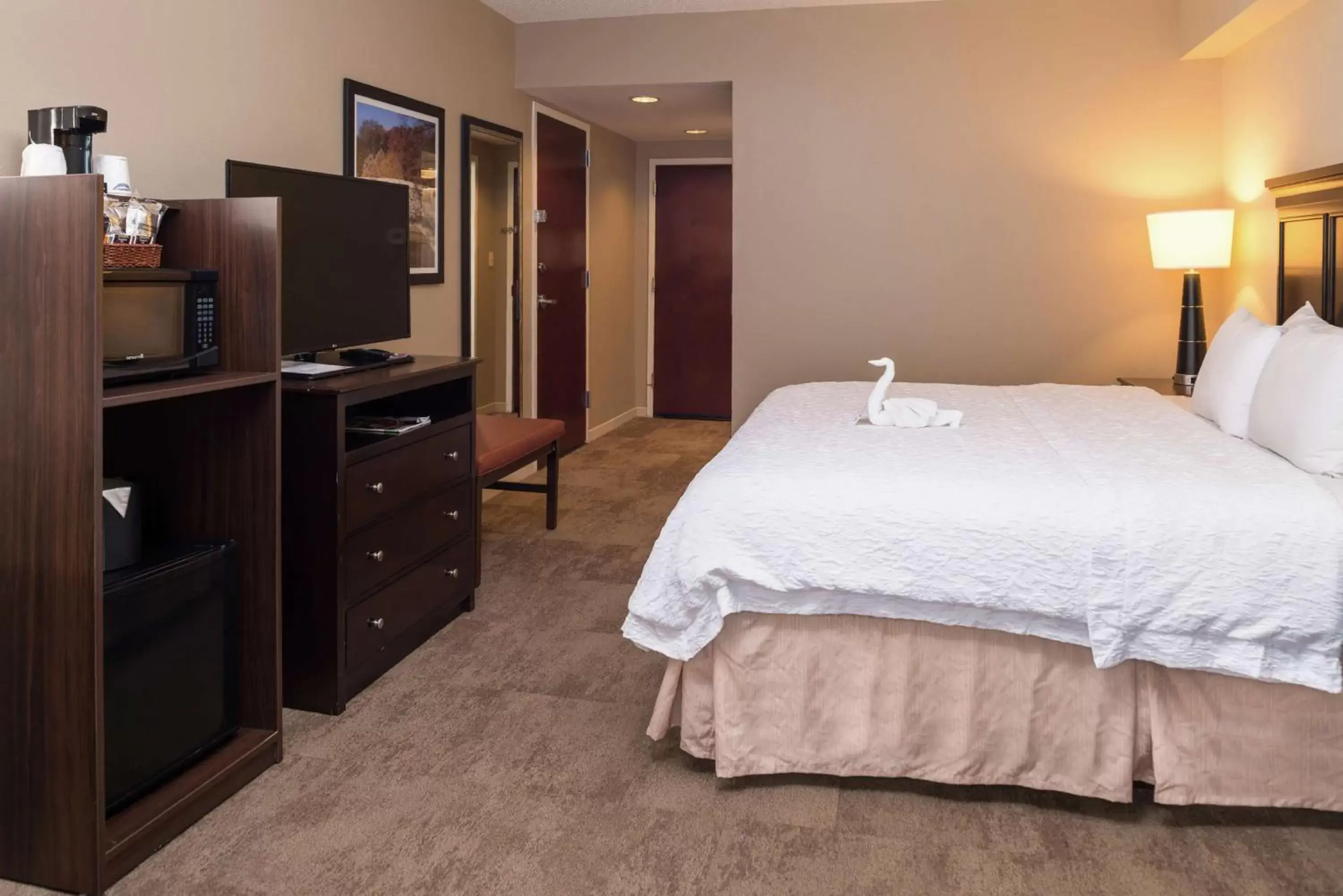 Photo of the whole room, Bed in Hampton Inn & Suites Charlotte Arrowood