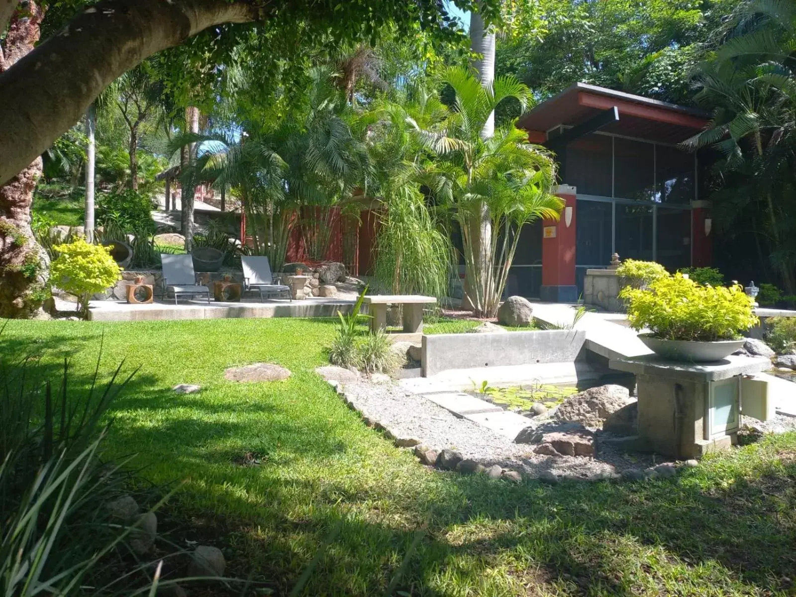 Garden in CASA CHU