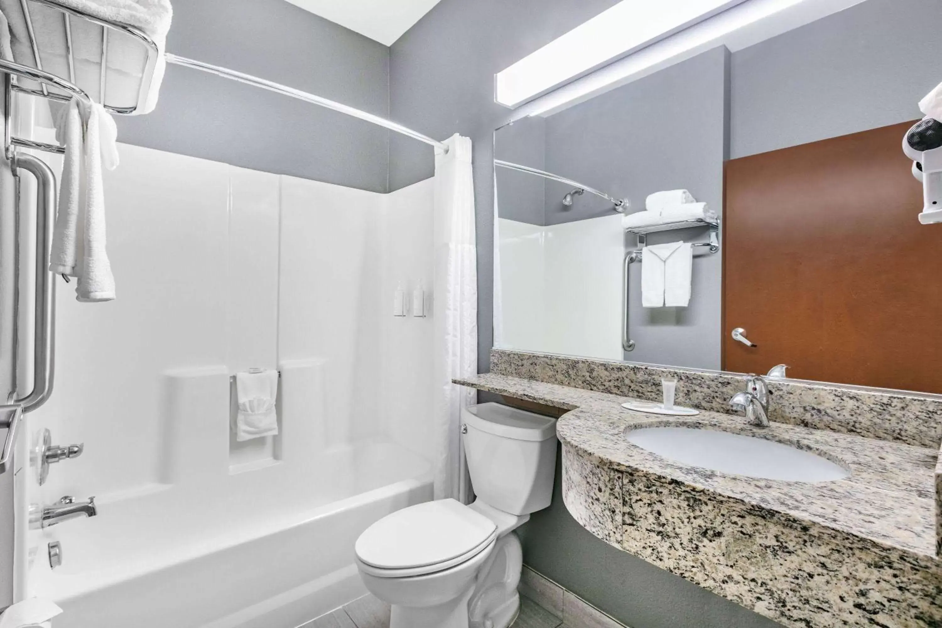 Shower, Bathroom in Microtel Inn & Suites by Wyndham Austin Airport