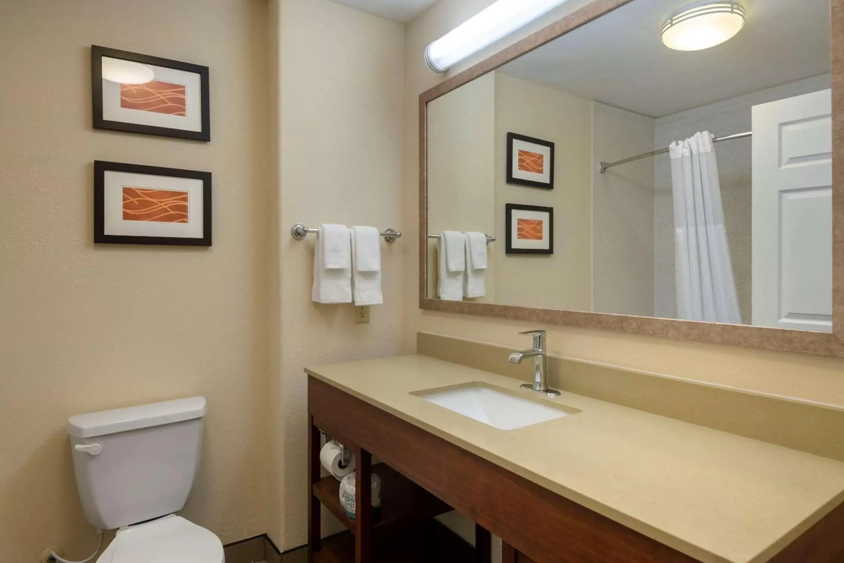 Toilet, Bathroom in Comfort Inn and Suites Odessa