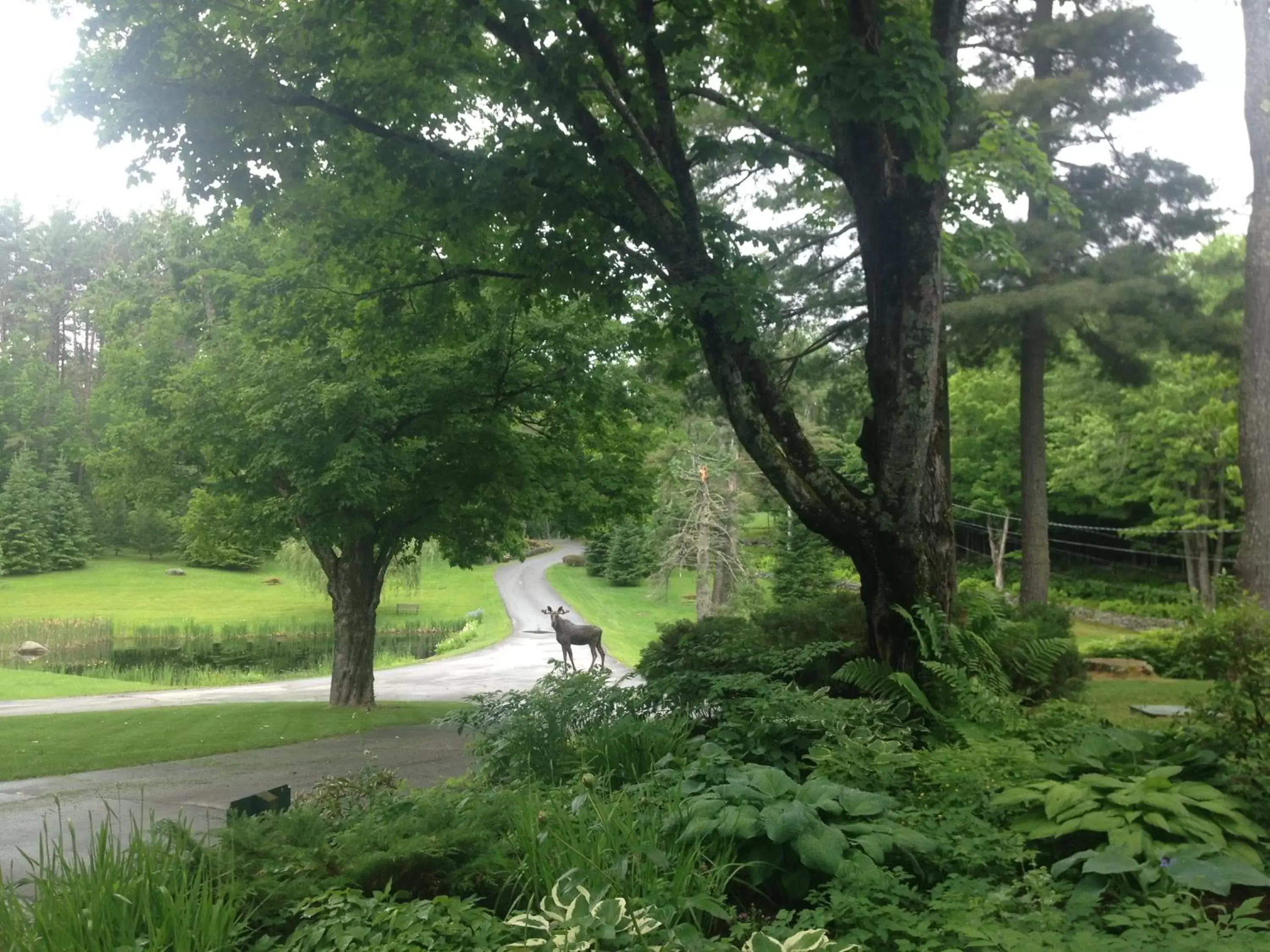 Facade/entrance, Garden in Adair Country Inn & Restaurant