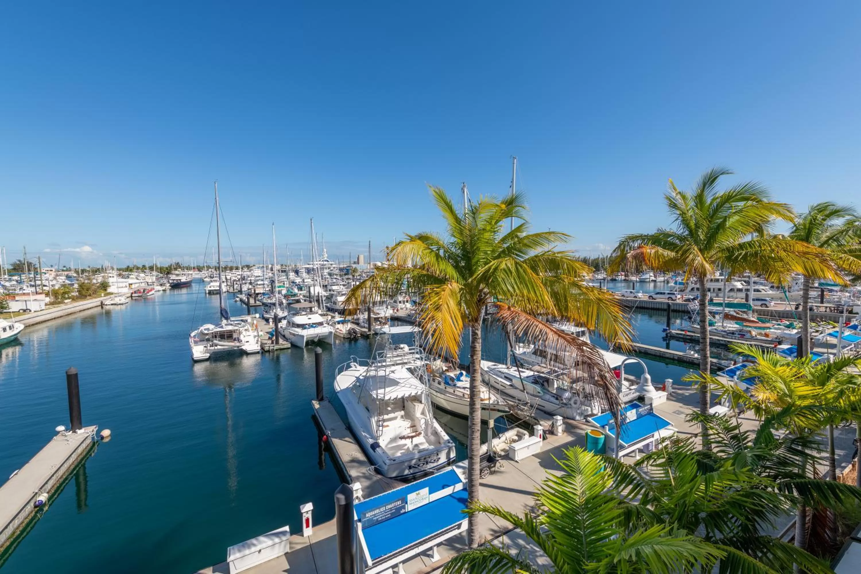 View (from property/room) in The Perry Hotel & Marina Key West