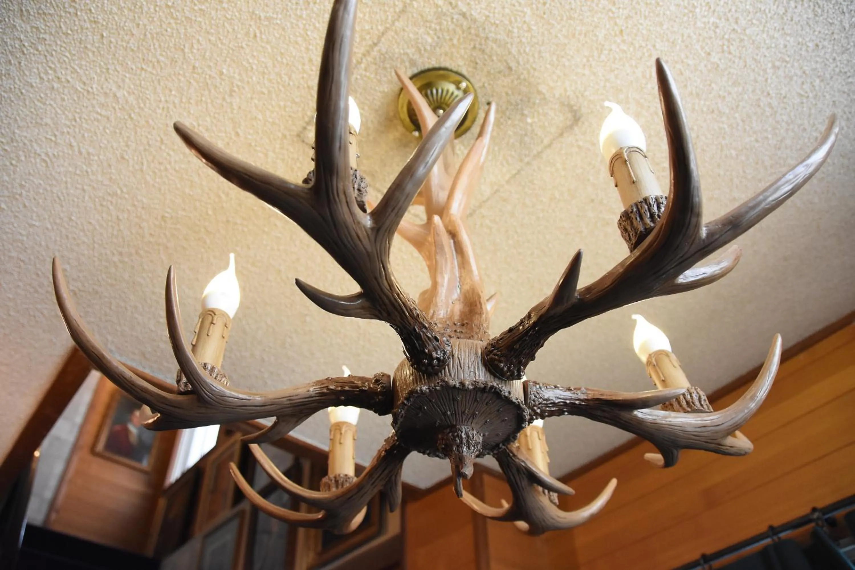 Decorative detail in Expected Inn