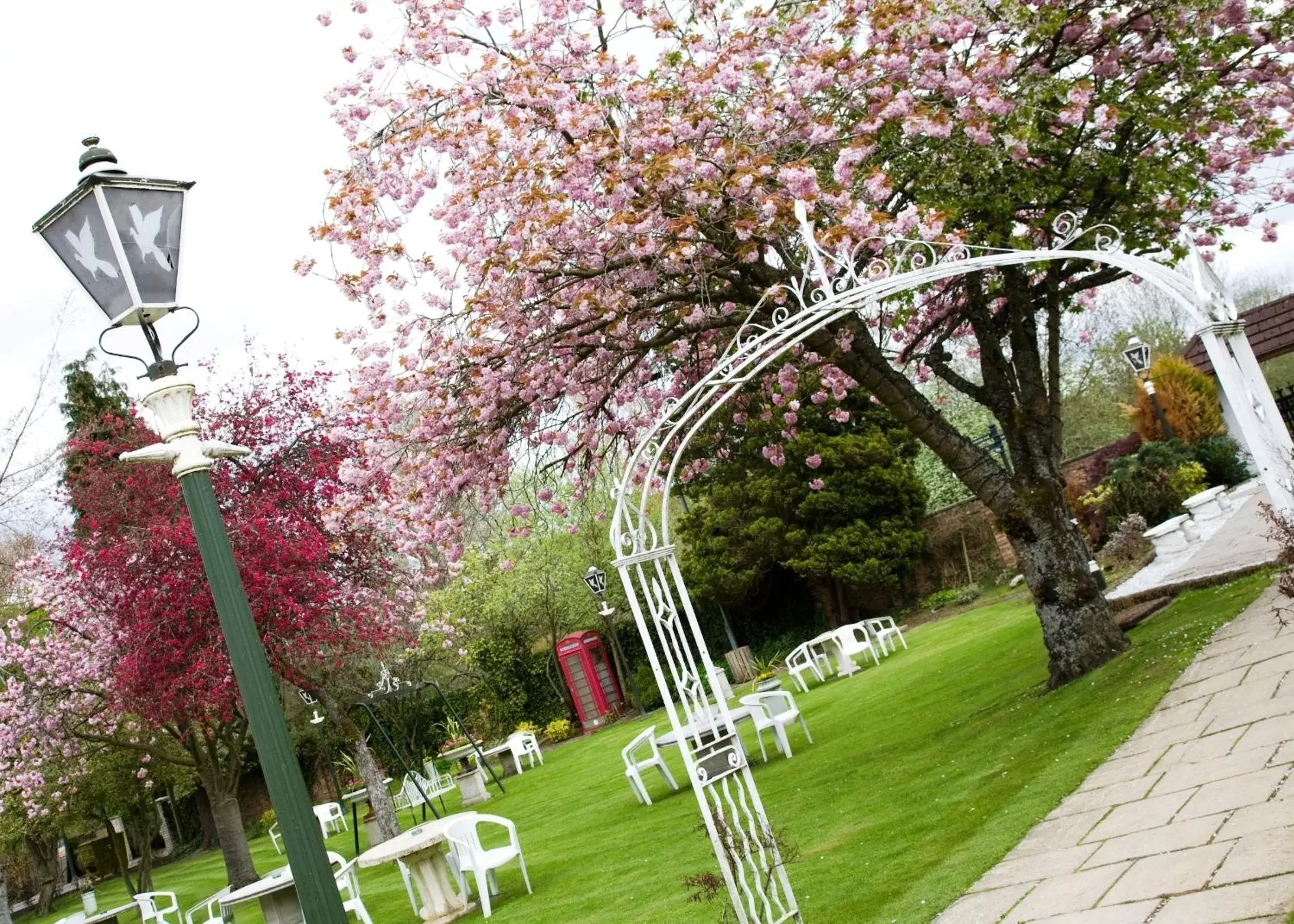 Garden in The Popinjay Hotel