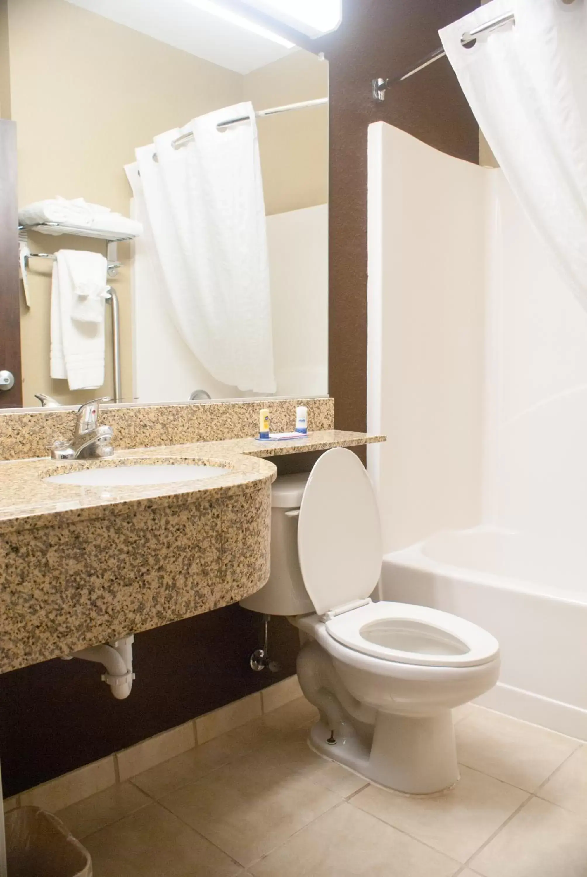 Bathroom in Microtel Inn & Suites by Wyndham Jacksonville Airport