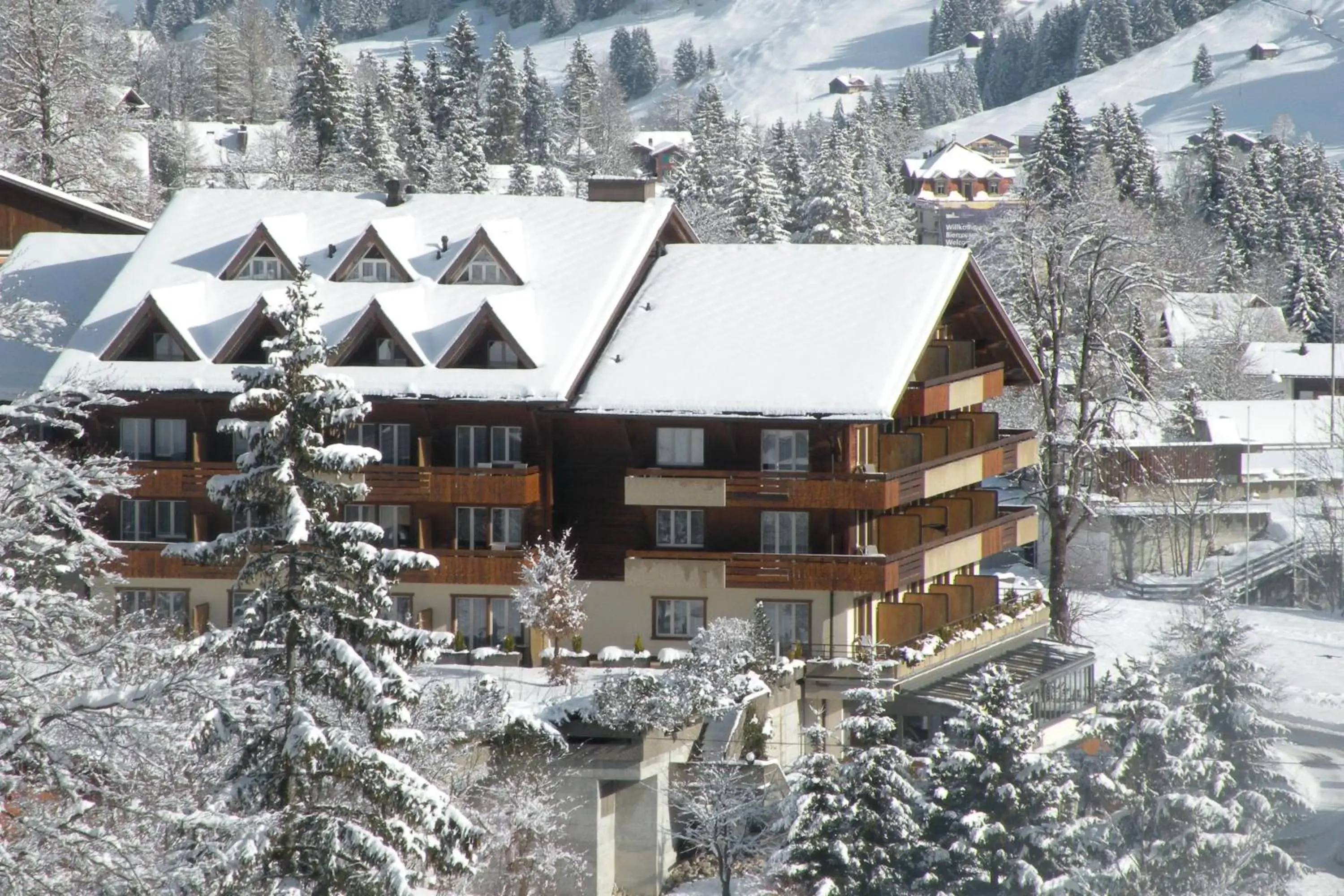 Bird's eye view, Winter in Hotel Steinmattli