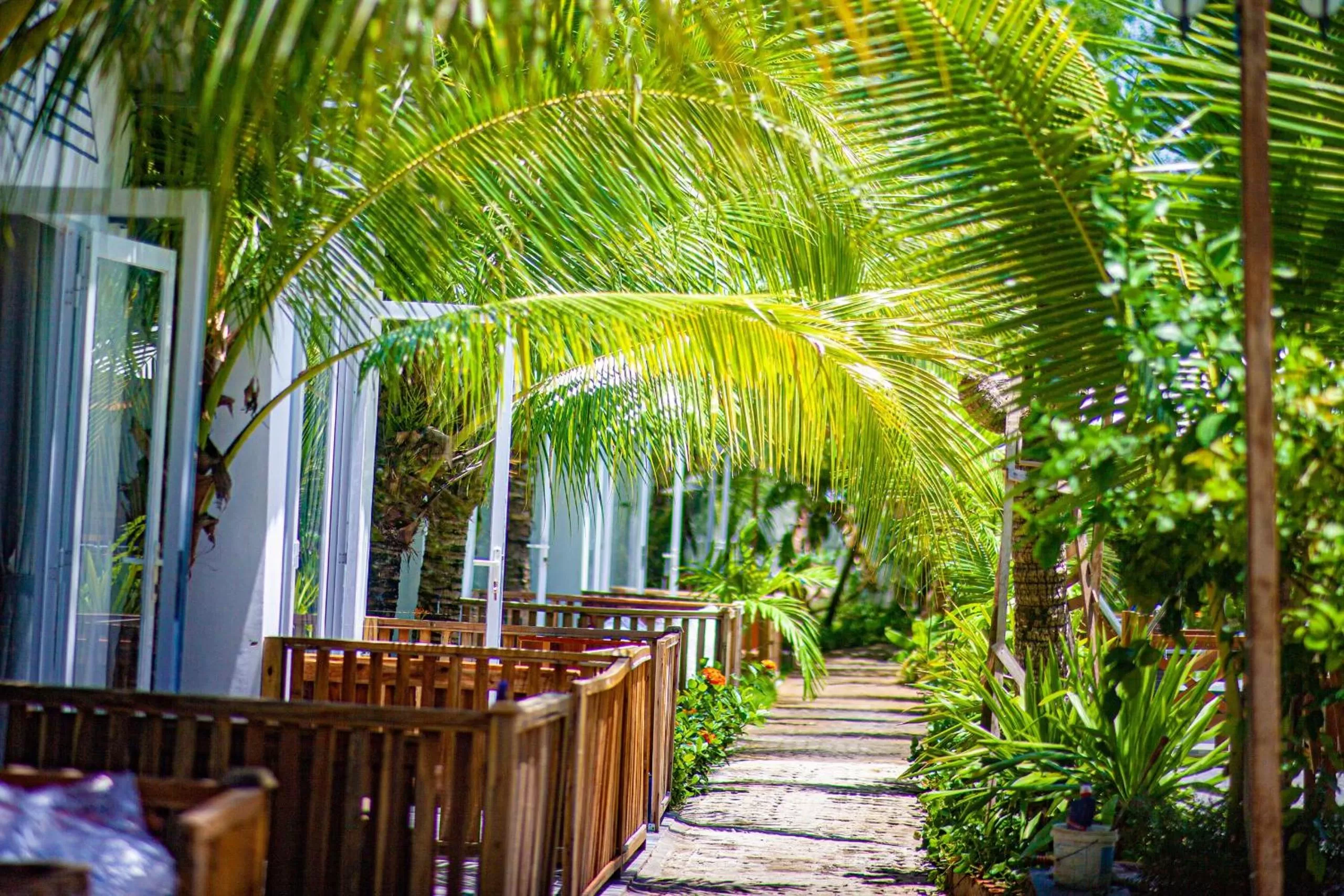 Spring in Hoang Phuc resort