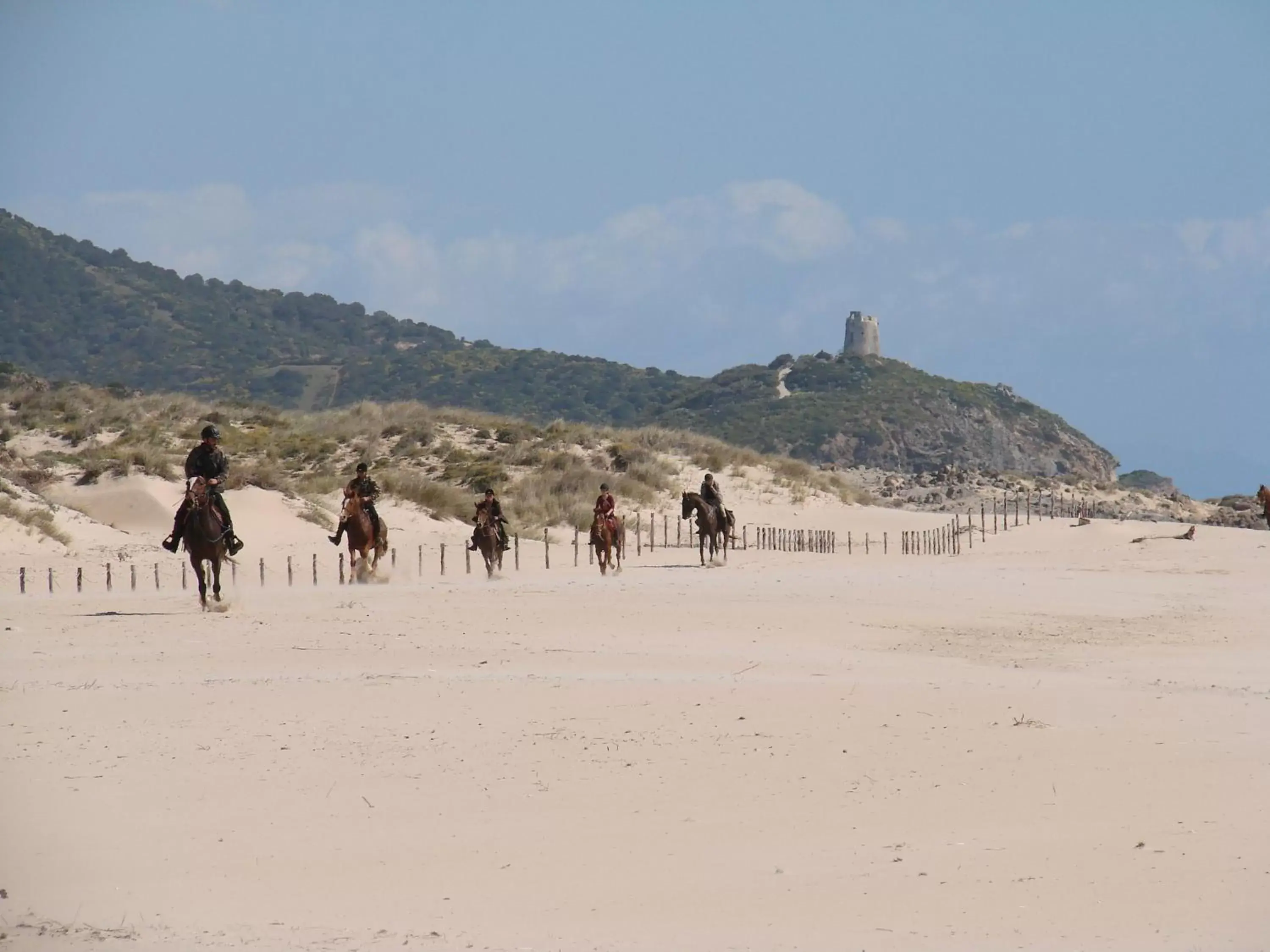 Beach, Horseback Riding in B&B Domu Mea