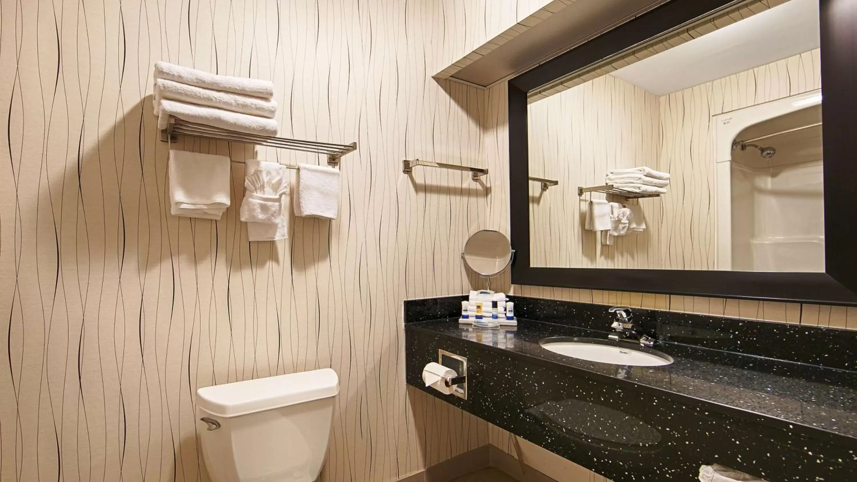 Bathroom in Best Western Plus Travel Hotel Toronto Airport