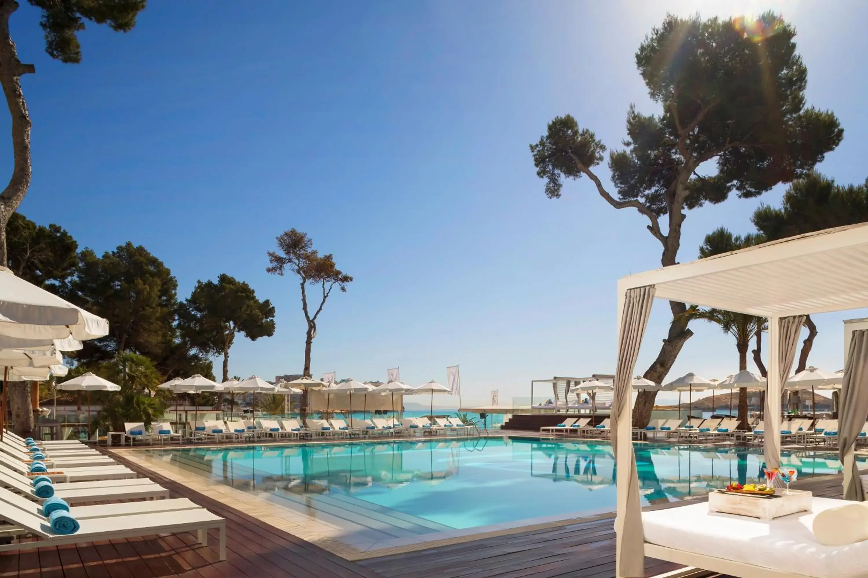 Day, Swimming Pool in Melia South Beach