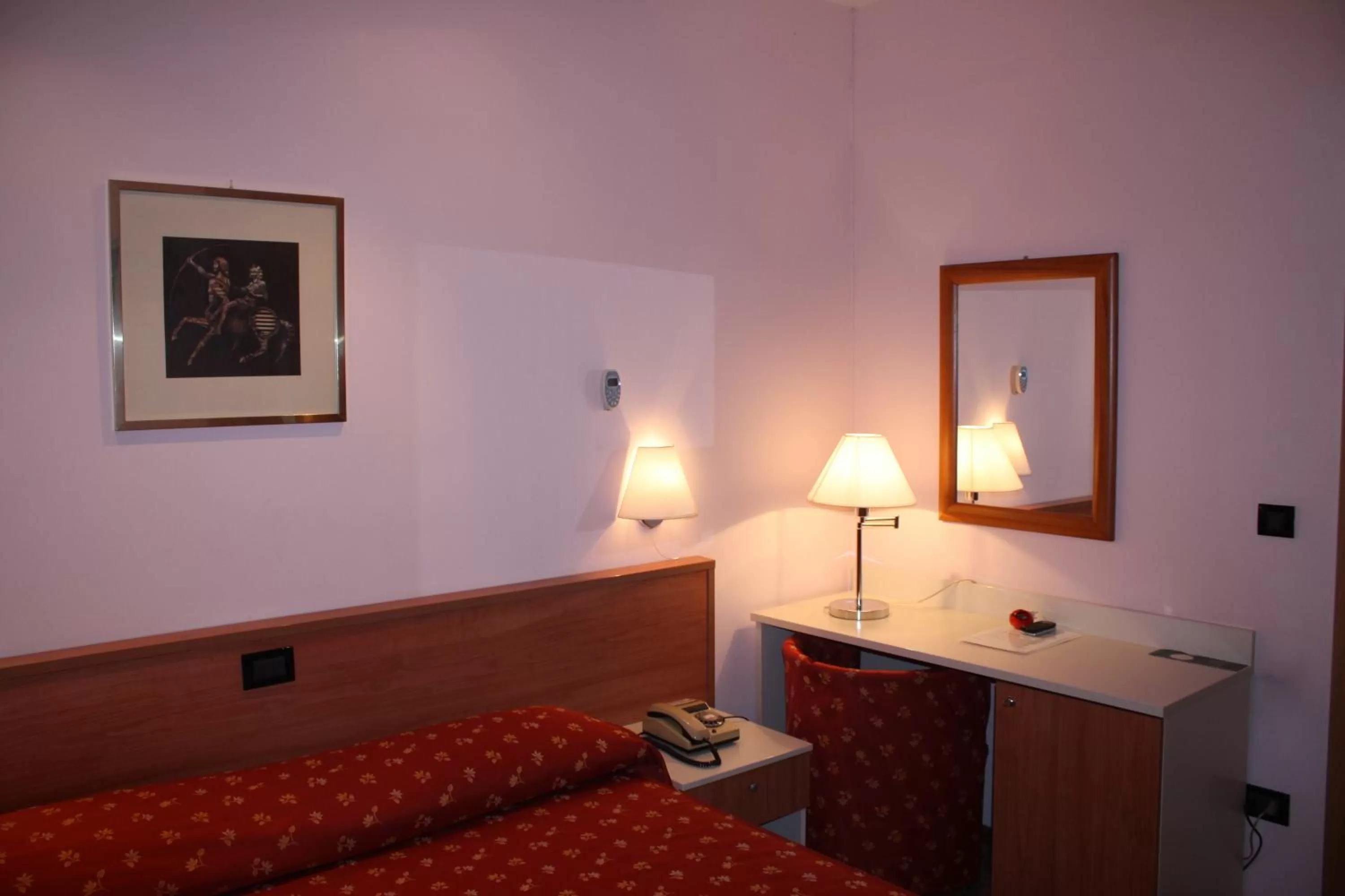 Single Room in Hotel Delle Rose
