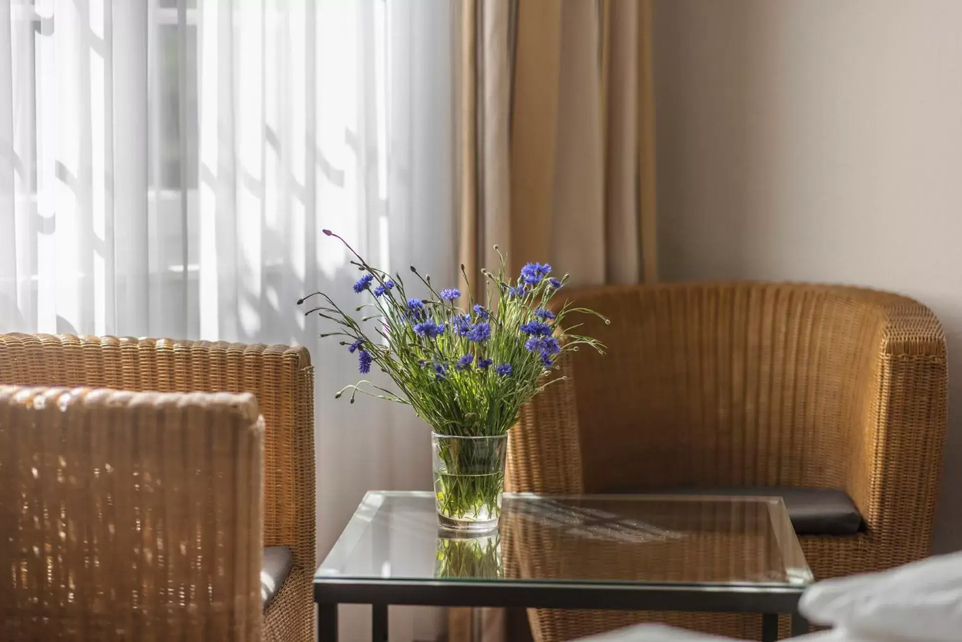 Decorative detail, Seating Area in Hotel Minerva