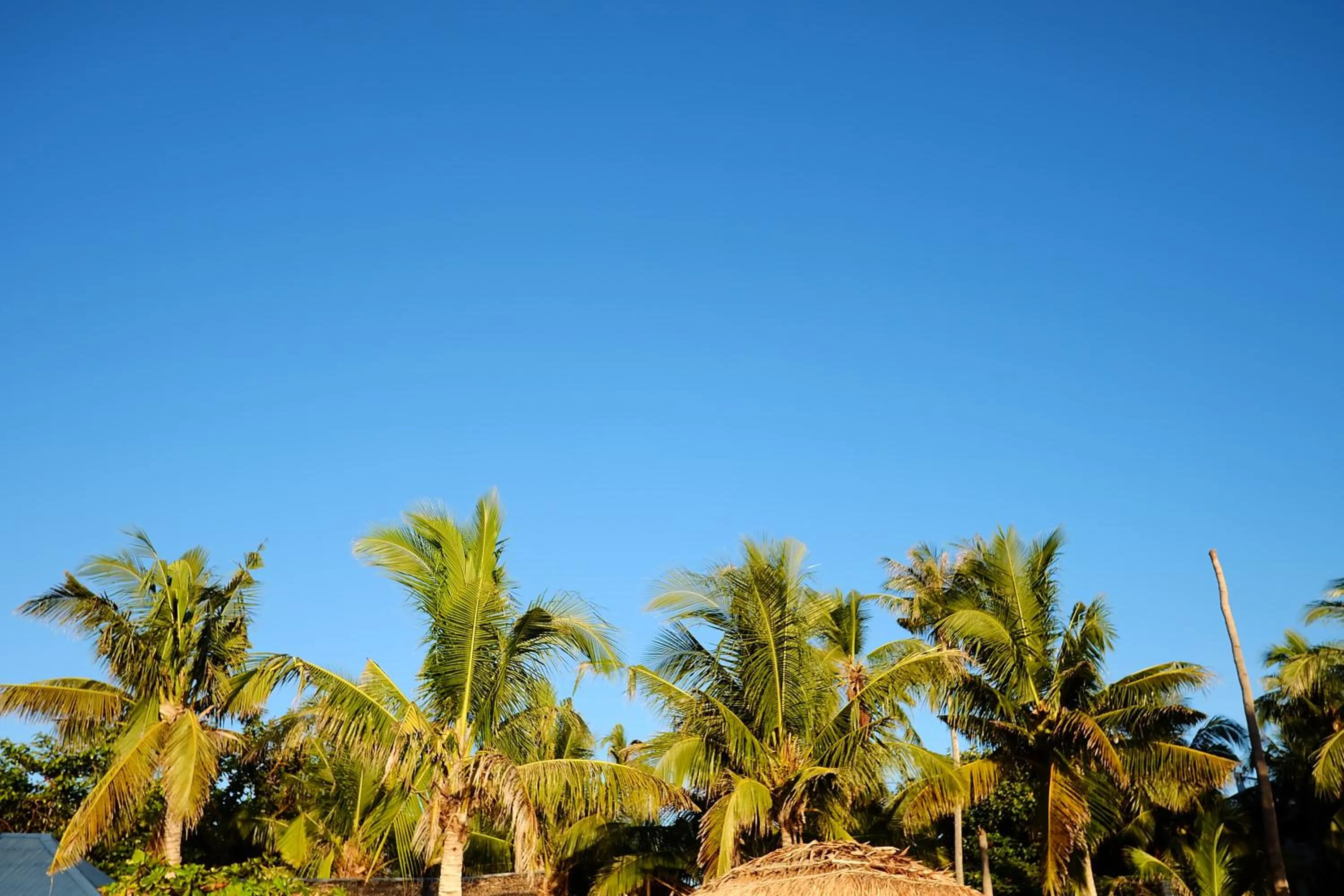 Nearby landmark in Malapascua Budget Inn MBI DIVE CENTER