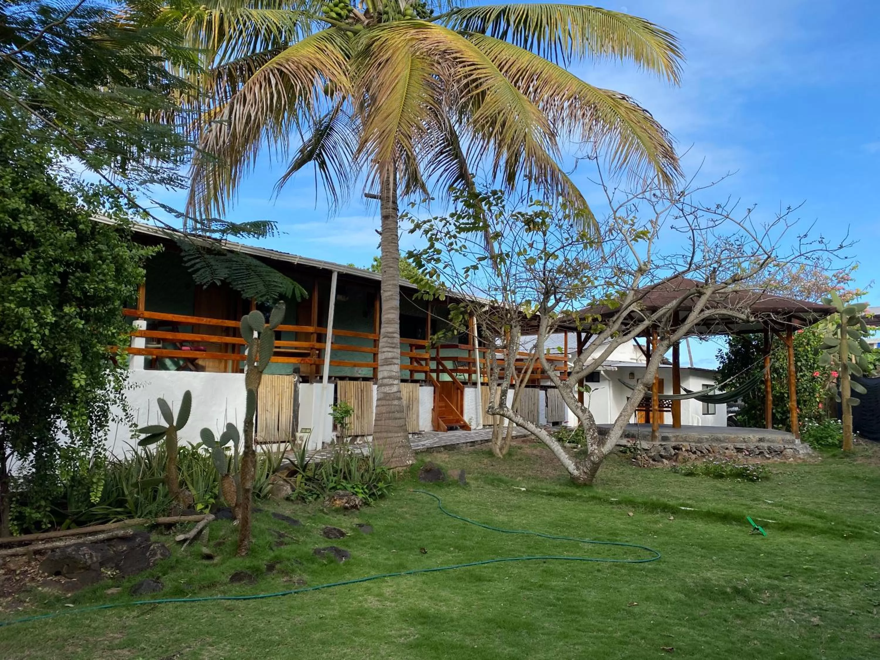 Garden in La Peregrina Galapagos B&B
