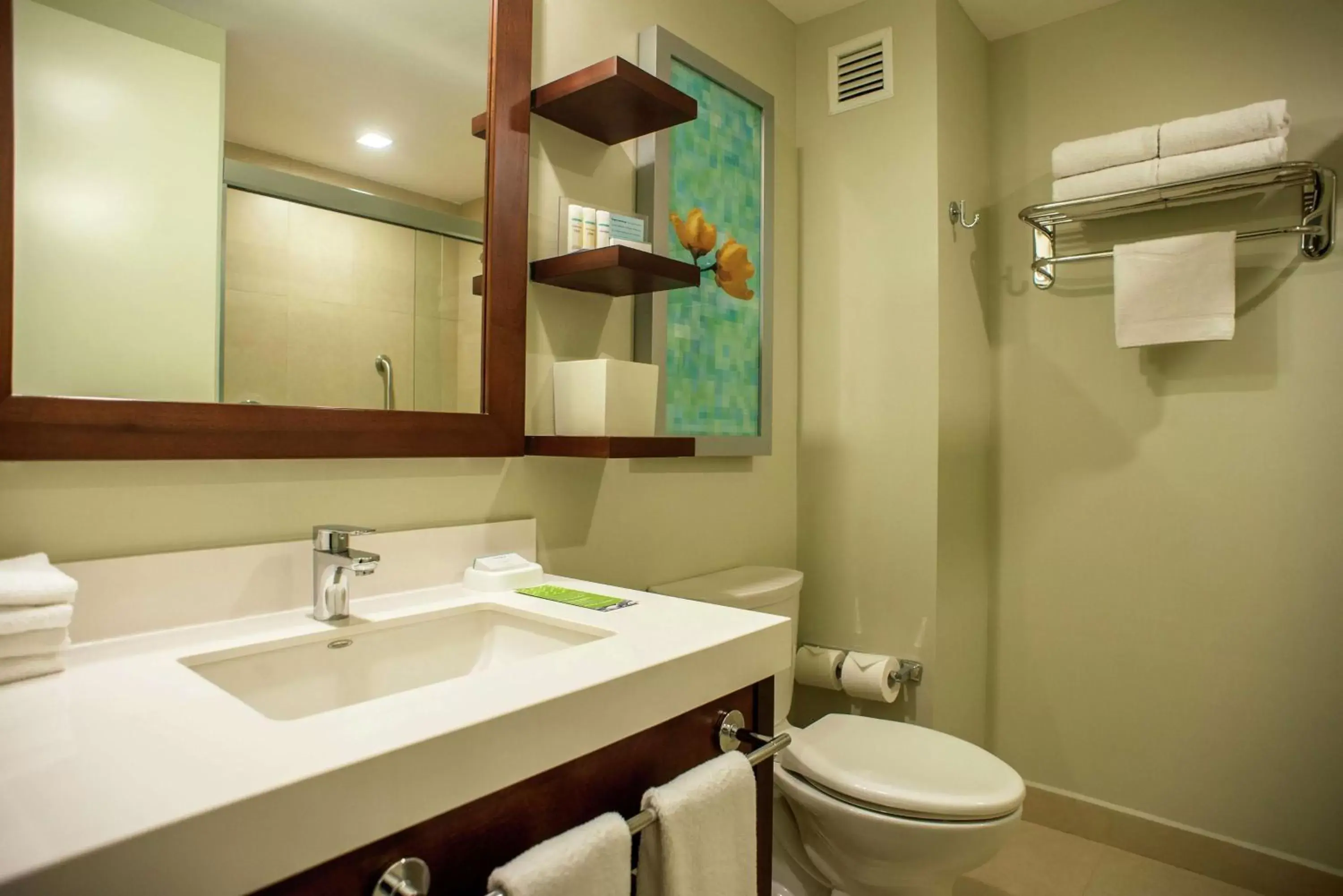 Bathroom in Hampton Inn by Hilton Merida