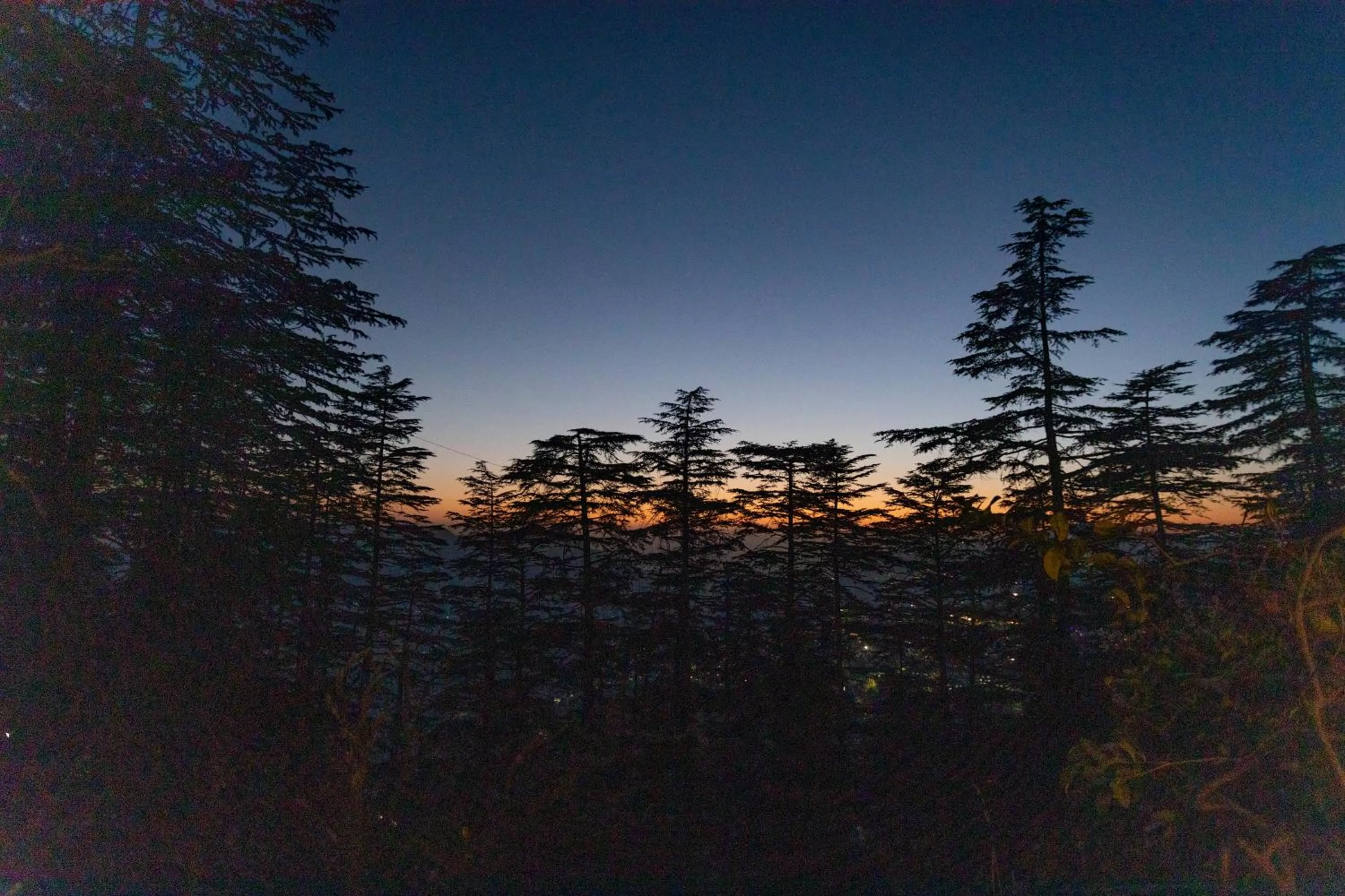 View (from property/room) in Seclude Shimla, Taraview