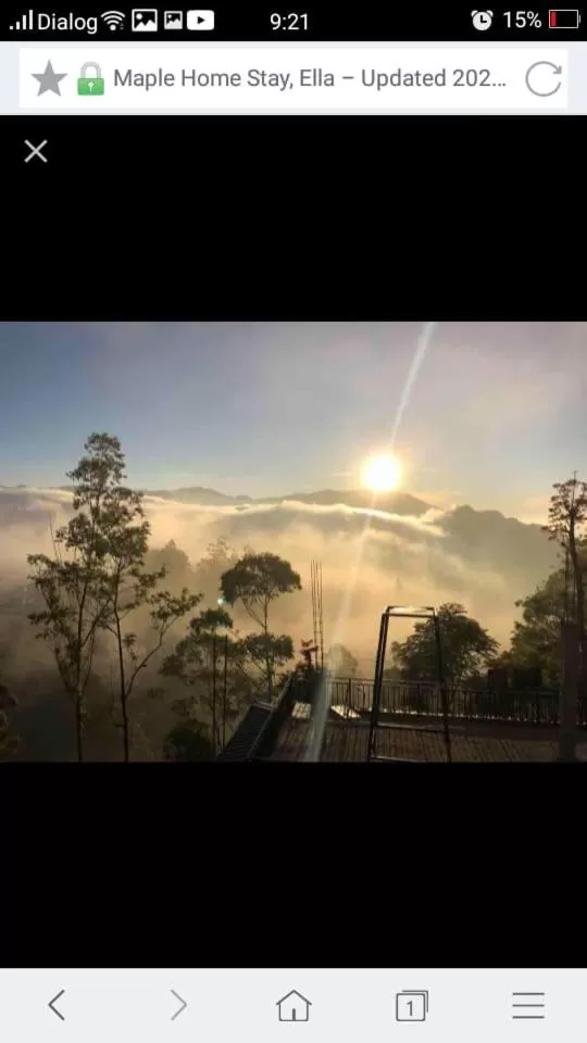 Maple home stay and cottage