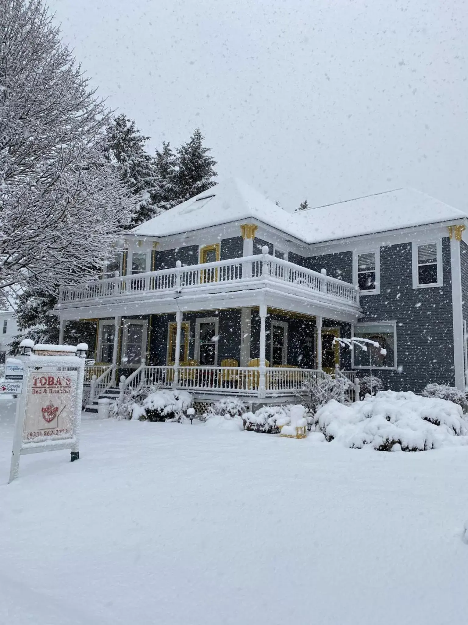 Property building, Winter in Toba's Bed & Breakfast