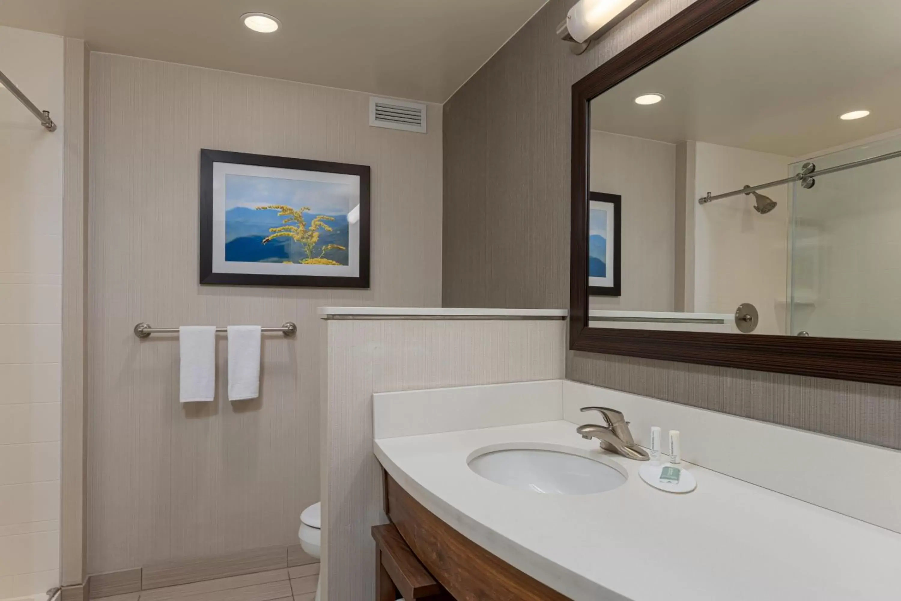 Bathroom in Courtyard by Marriott Asheville Airport