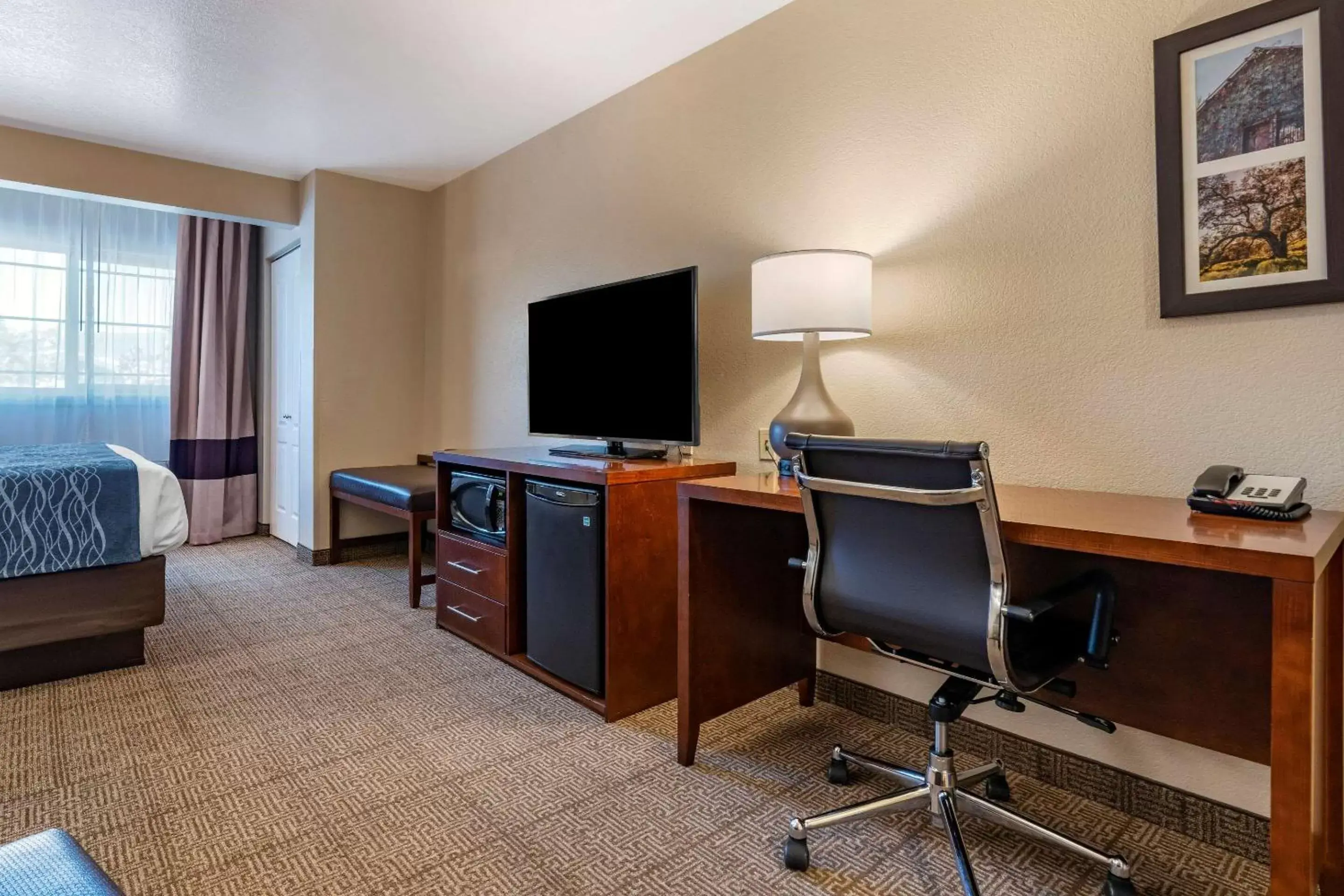 Bedroom, TV/Entertainment Center in Comfort Inn & Suites Ukiah Mendocino County