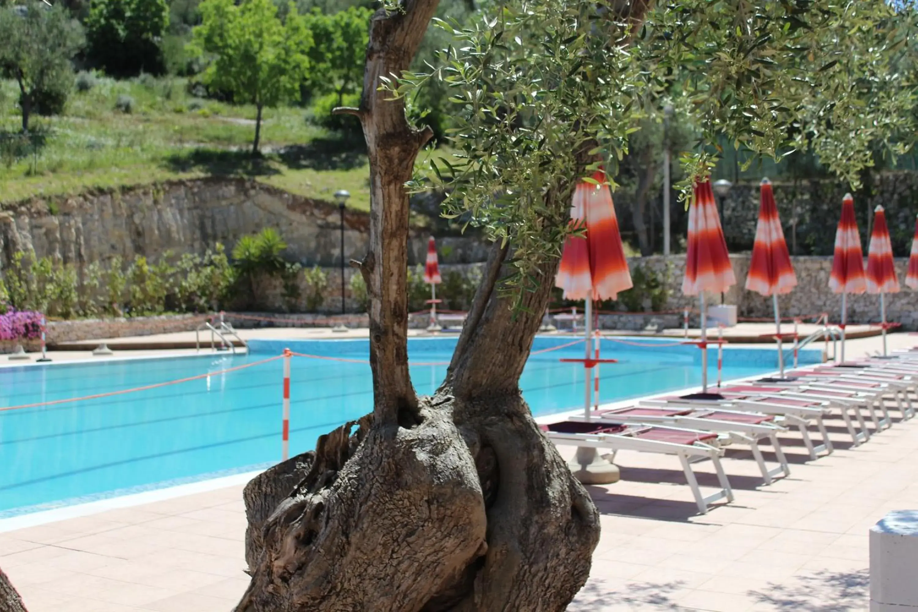 Swimming Pool in Hotel Delle More