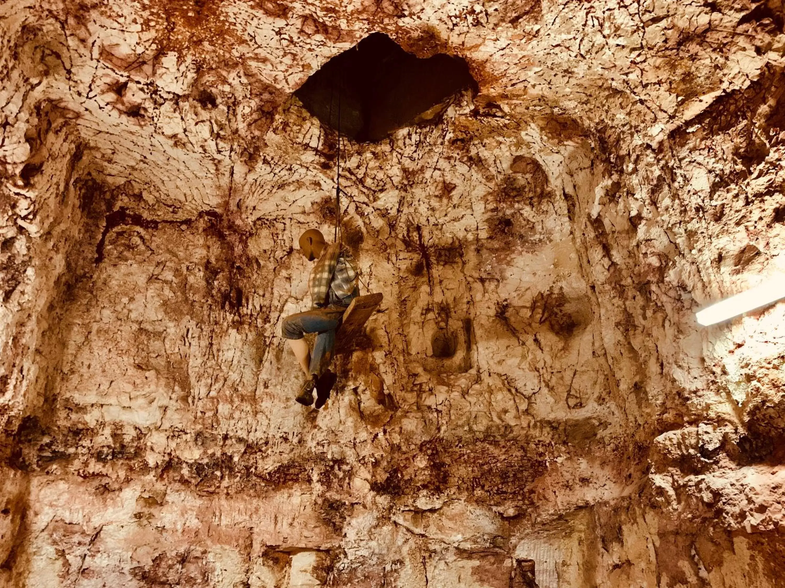 Entertainment, Other Animals in Desert Cave Hotel