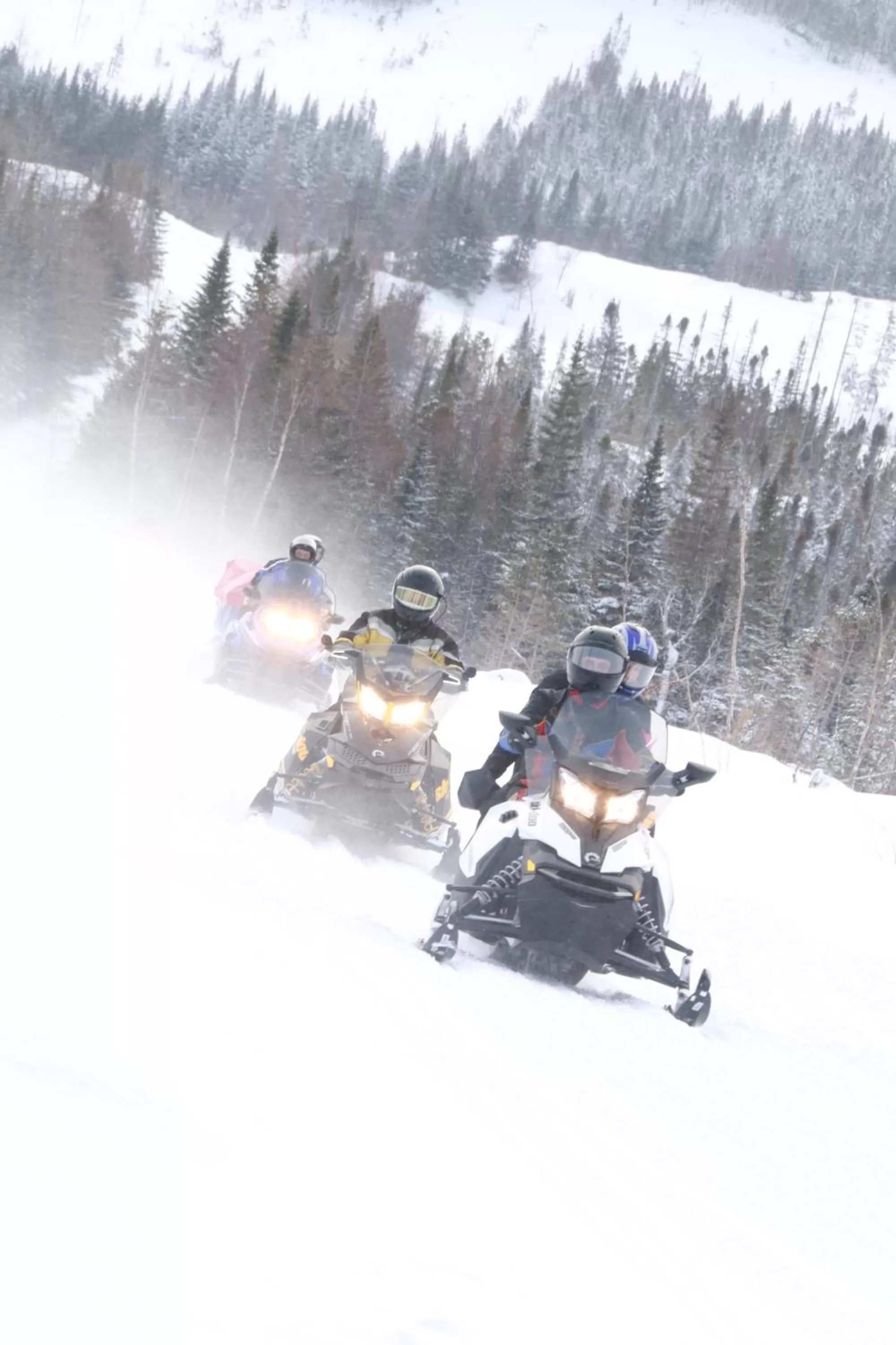 Nearby landmark in Deer Lake Horizon Hotel