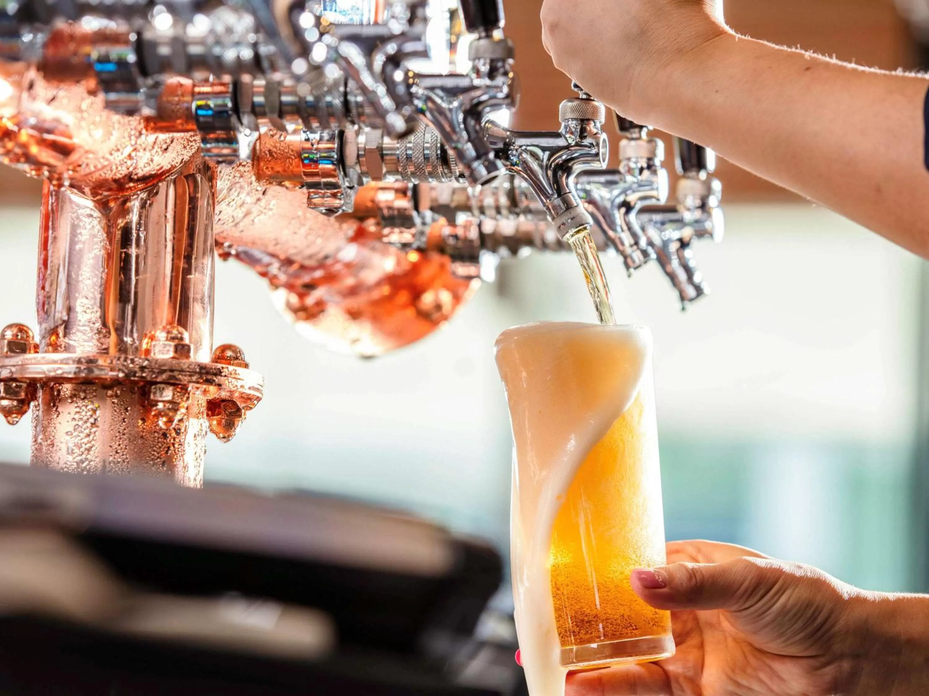 Lounge or bar in Ibis Mackay