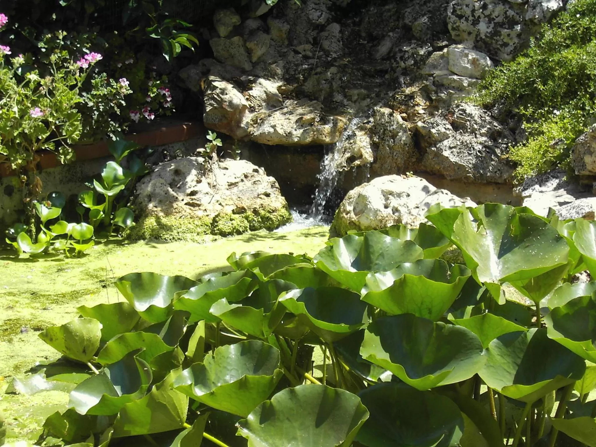 Garden in La Cascata
