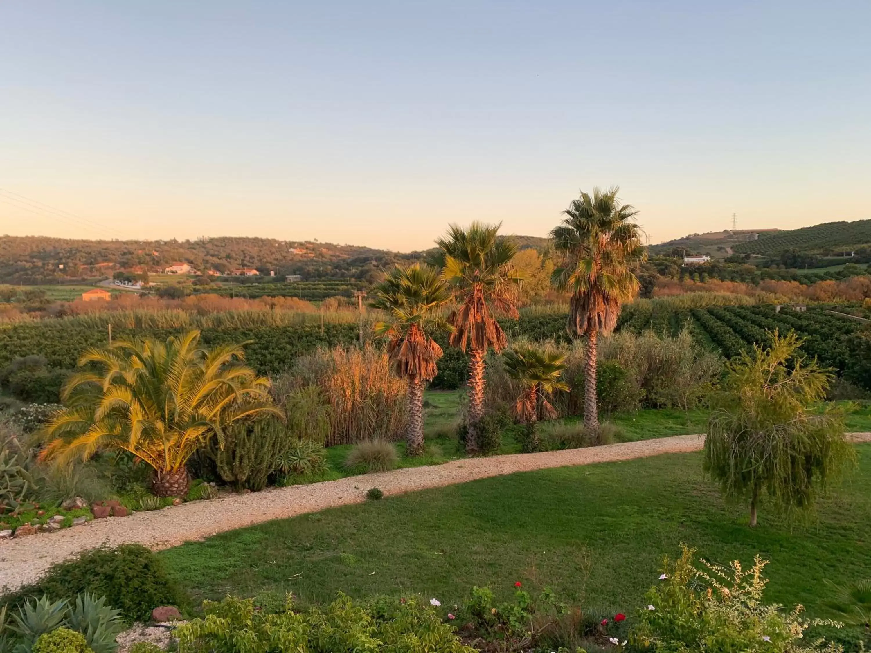 Garden in Quinta da Luz - A Luxury Boutique B&B