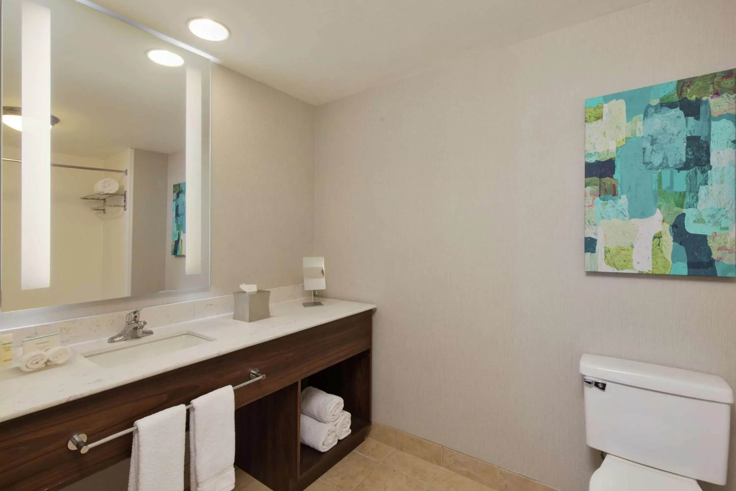 Bathroom in Homewood Suites by Hilton Lubbock