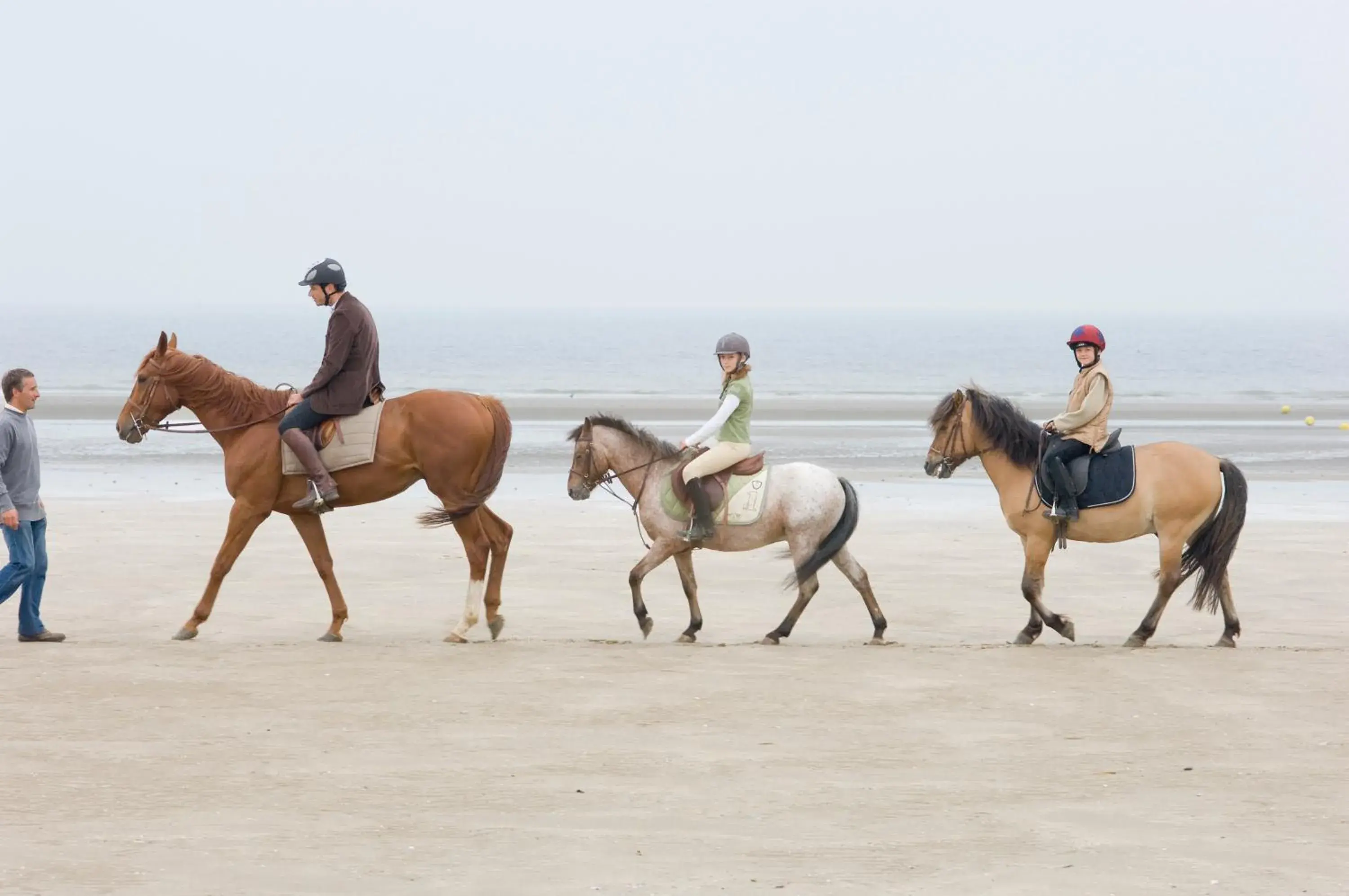 Activities, Horseback Riding in Hôtel Barrière L'Hôtel du Golf