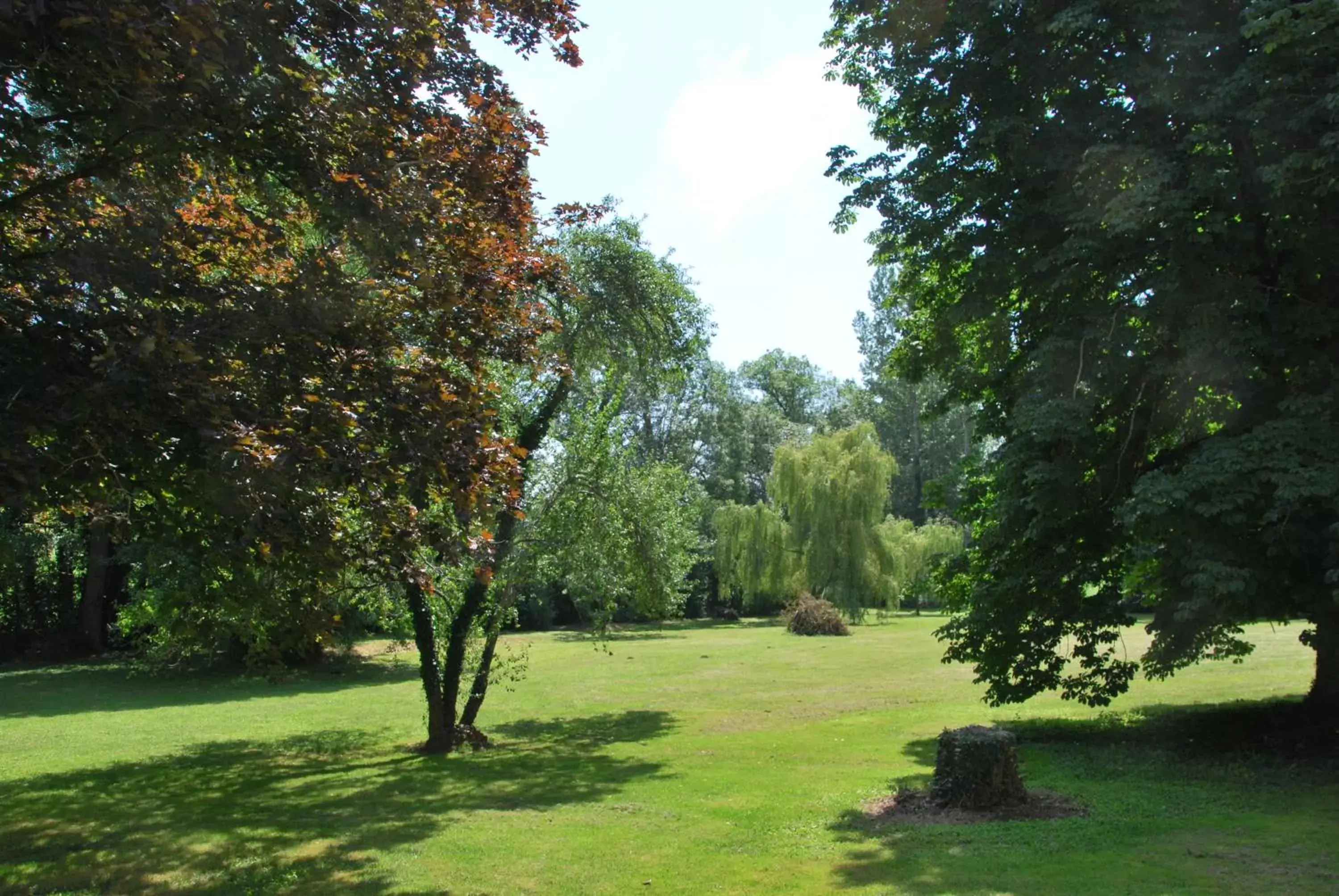 Garden view, Garden in Chambre d'Hôtes Le Moulin Bertrand