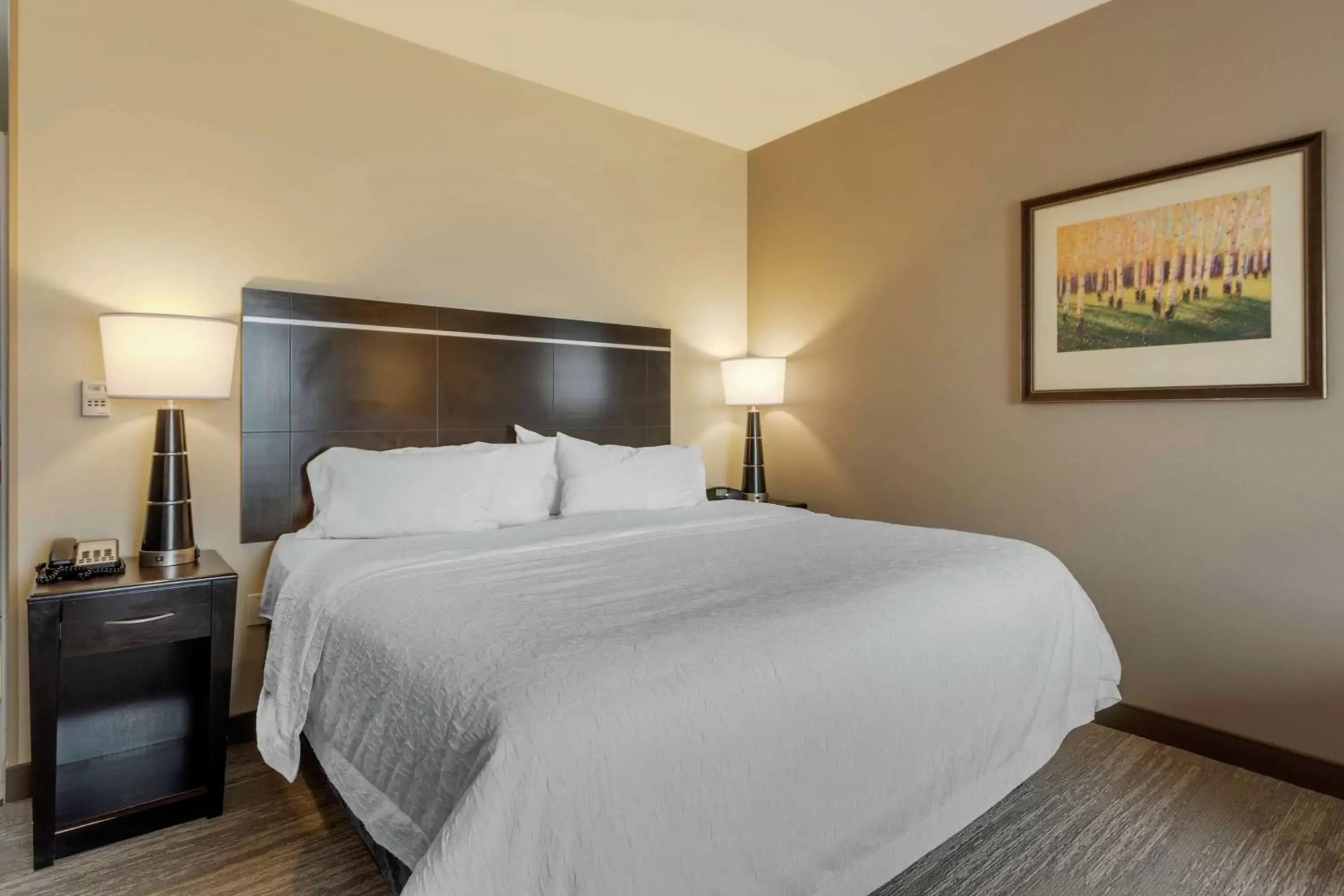 King Room with Roll-In Shower - Disability Access in Hampton Inn Alamosa King Room with Roll-In Shower - Disability Access in Hampton Inn Alamosa