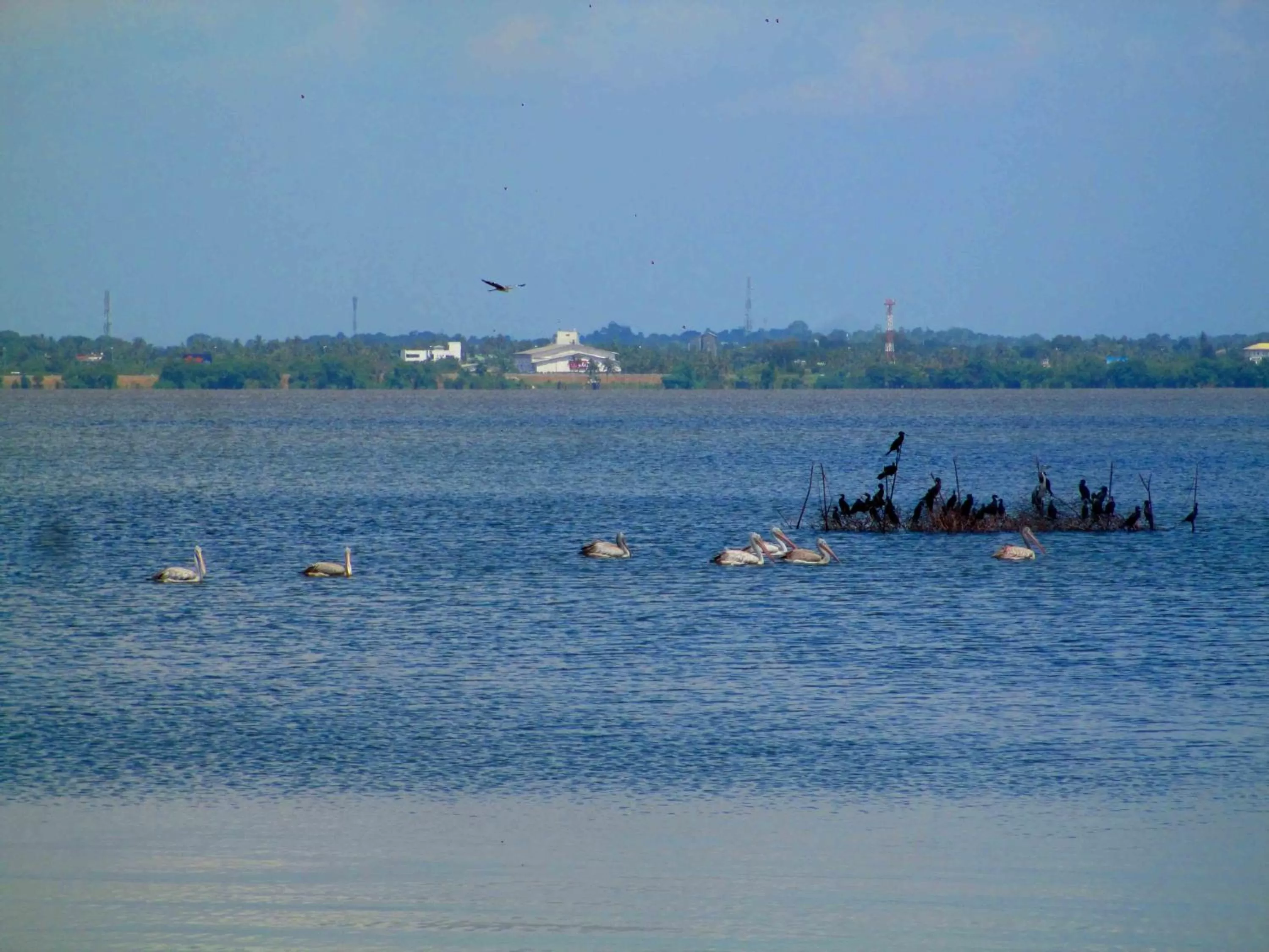 Day in Nico Lagoon Hotel