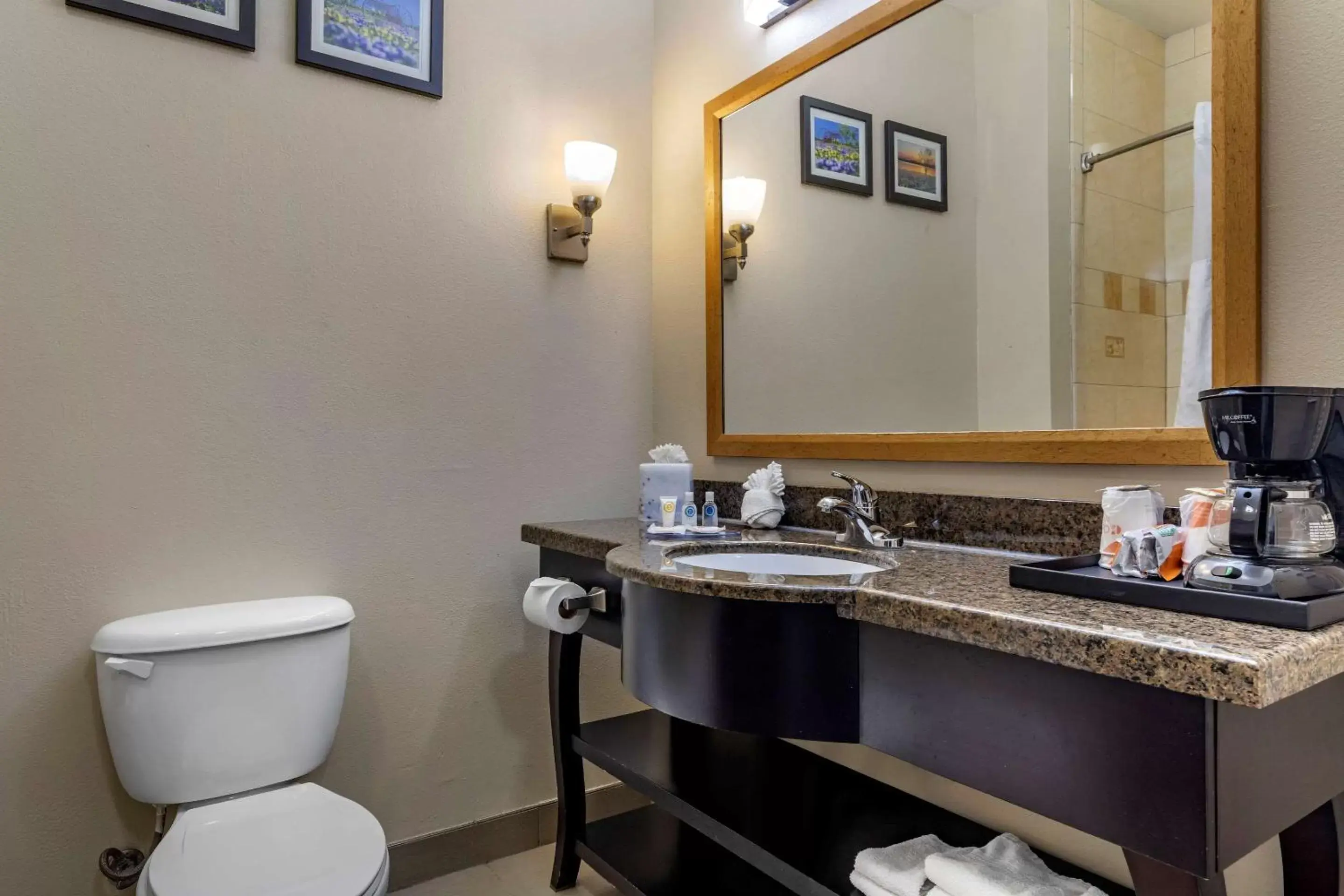 Photo of the whole room, Bathroom in Comfort Suites Plano - Dallas North