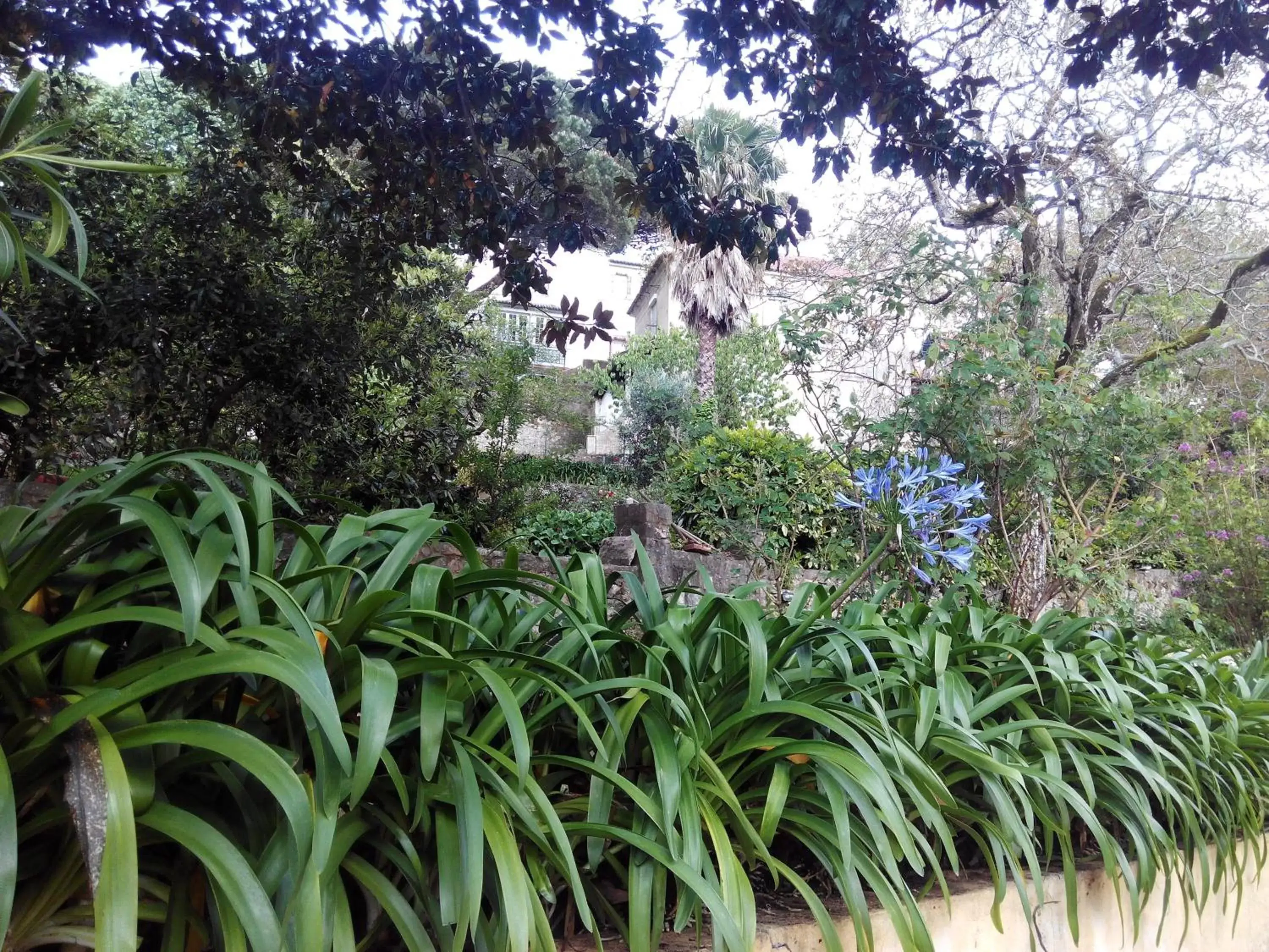 Garden in Guest House Villa dos Poetas