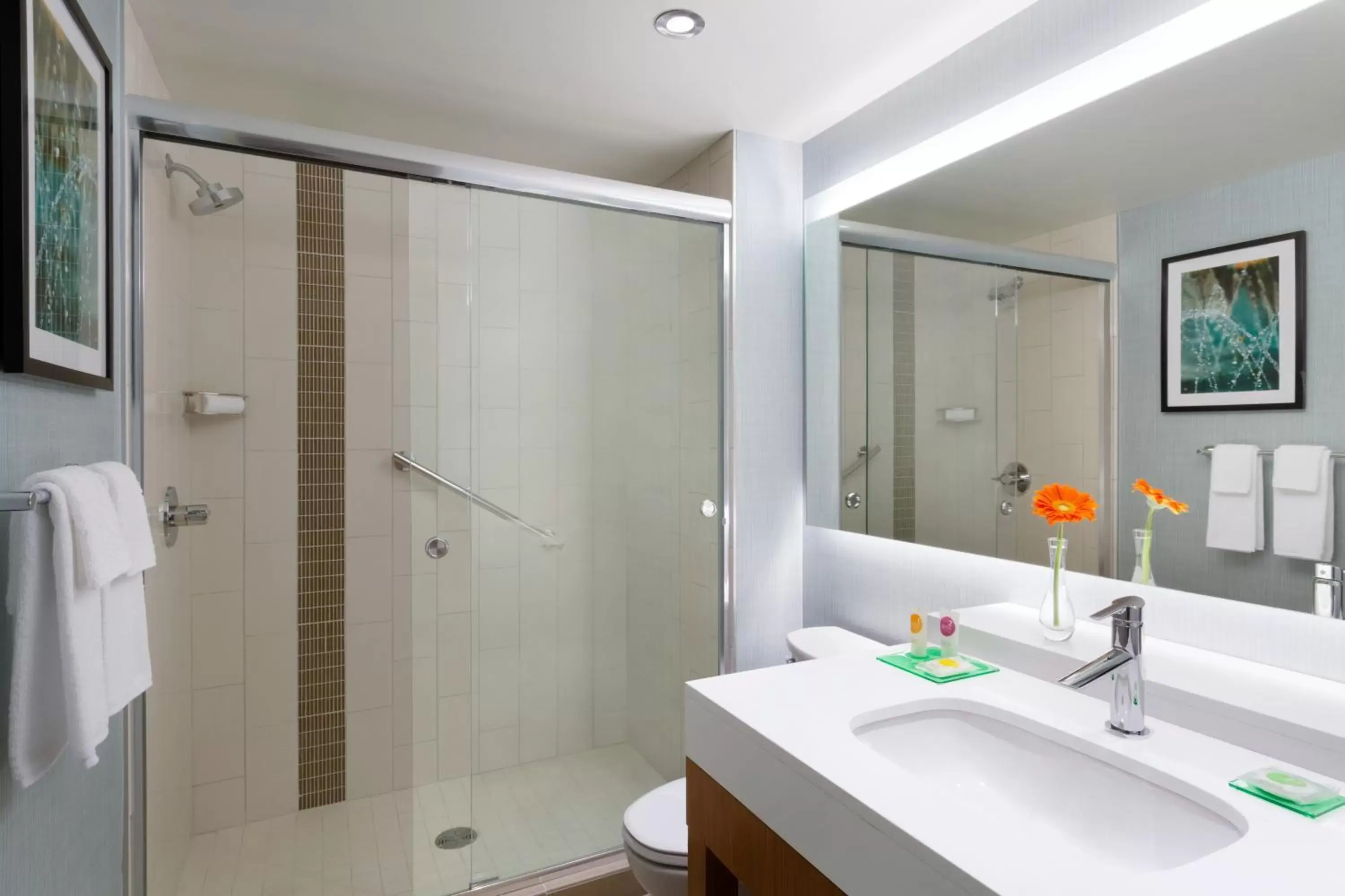 Shower, Bathroom in Hyatt Place Niagara Falls