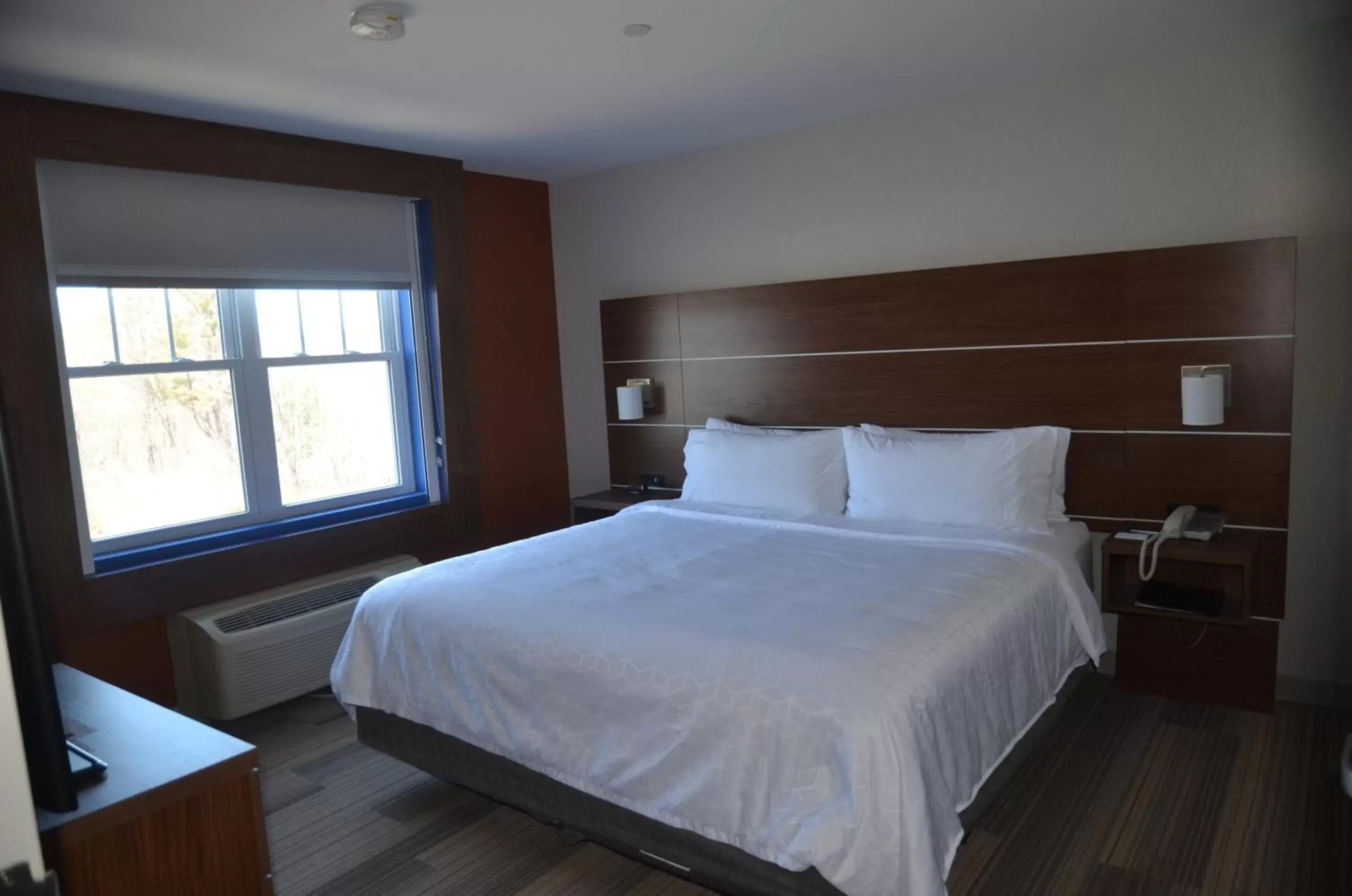Photo of the whole room, Bed in Holiday Inn Express Hotel & Suites Rochester, an IHG Hotel