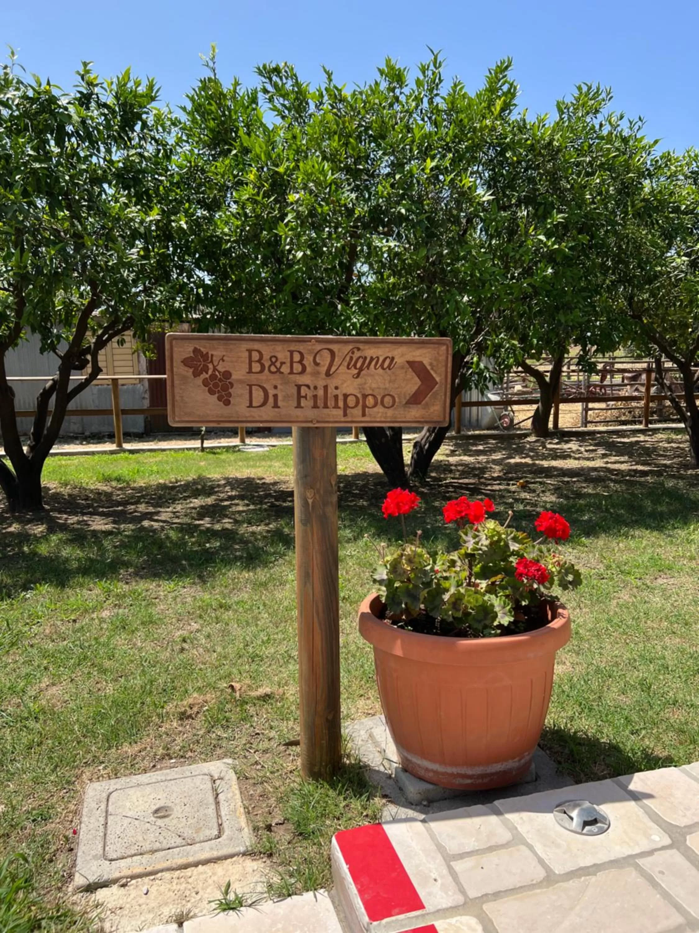 B & B Vigna Di Filippo - Paestum