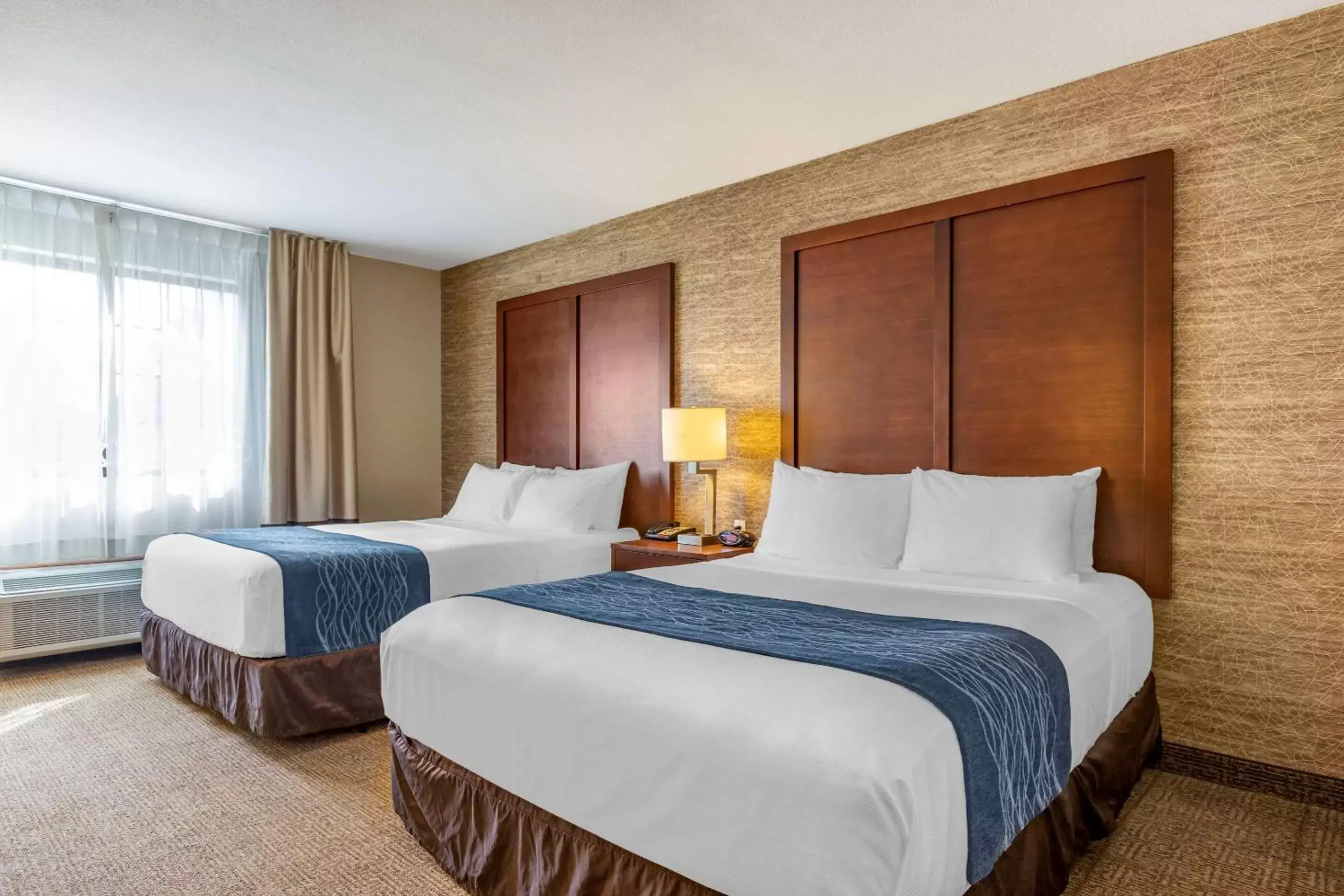 Standard Queen Room with Two Queen Beds and Tub - Accessible/Non-Smoking in Comfort Inn Ludington near US-10 Standard Queen Room with Two Queen Beds and Tub - Accessible/Non-Smoking in Comfort Inn Ludington near US-10