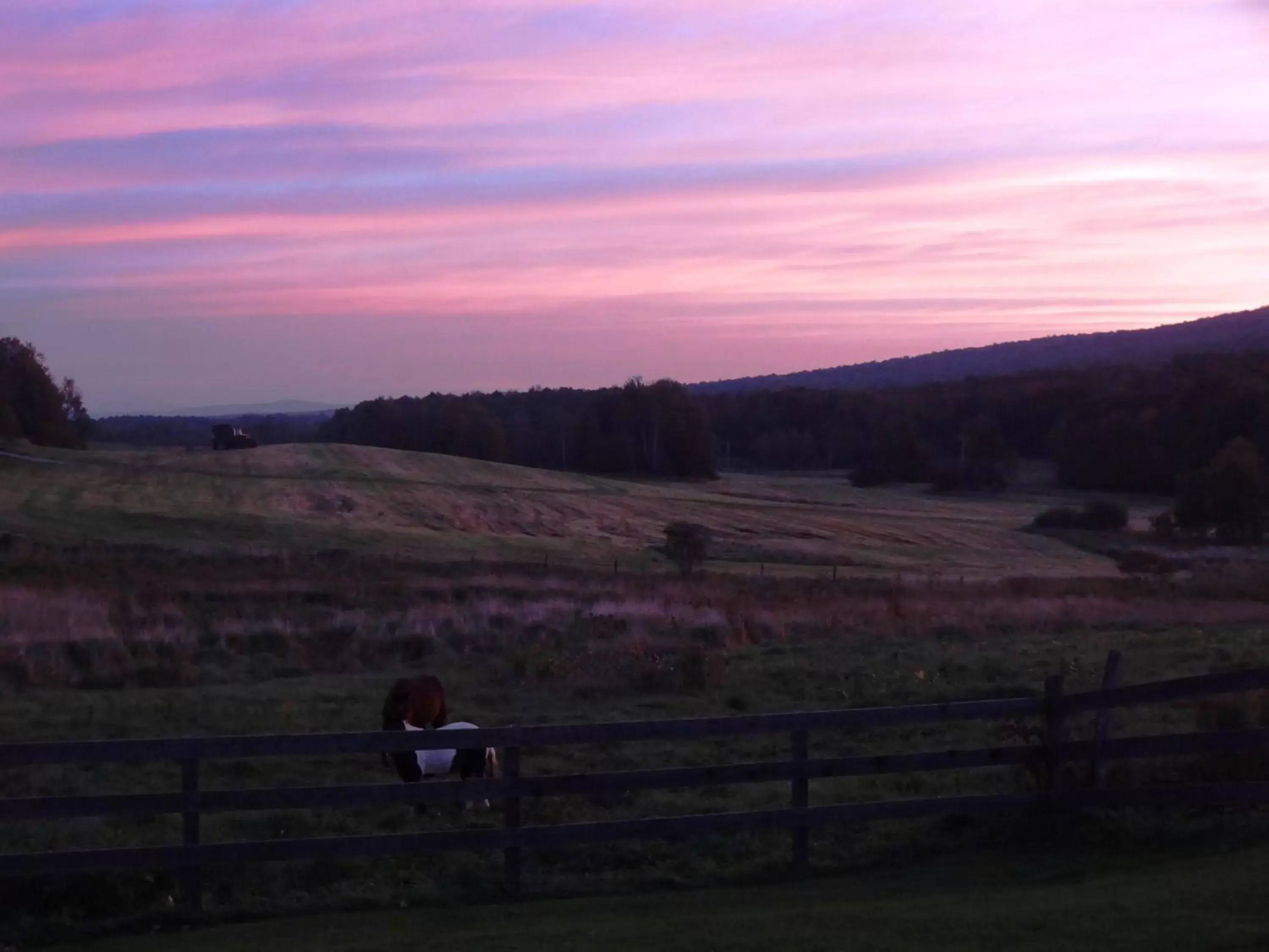 Summer in Inn at Buck Hollow Farm