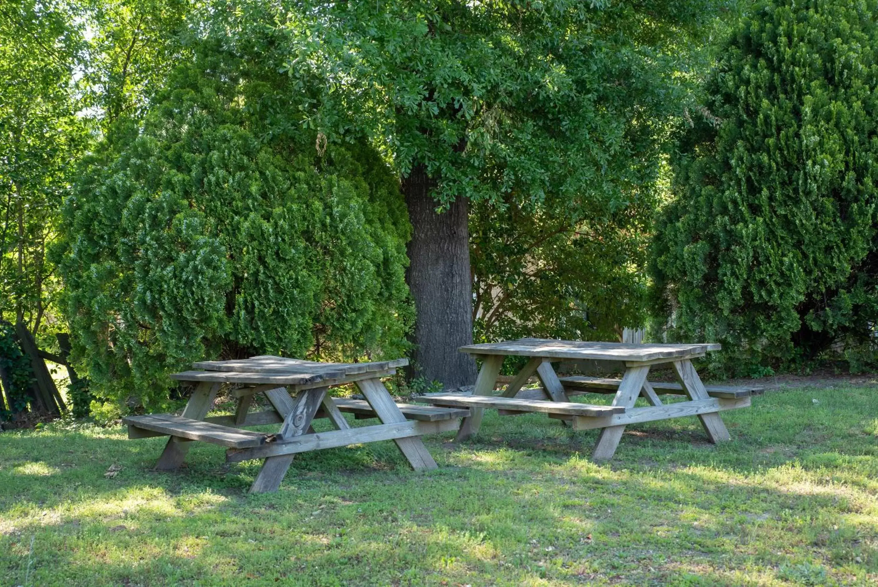 Patio, Garden in Victorian Inn & Suites