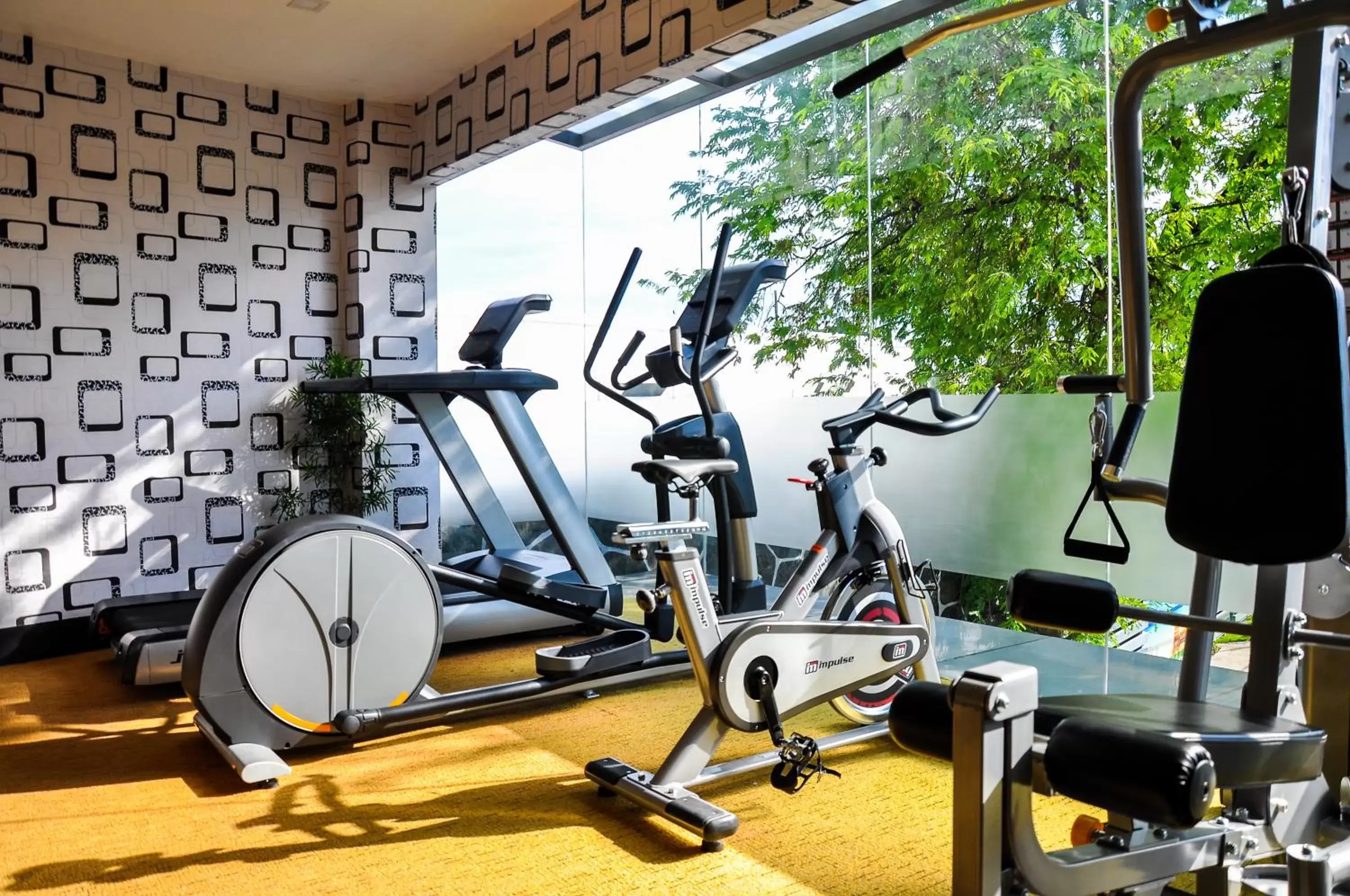 Fitness centre/facilities, Fitness Center/Facilities in Eloisa Royal Suites