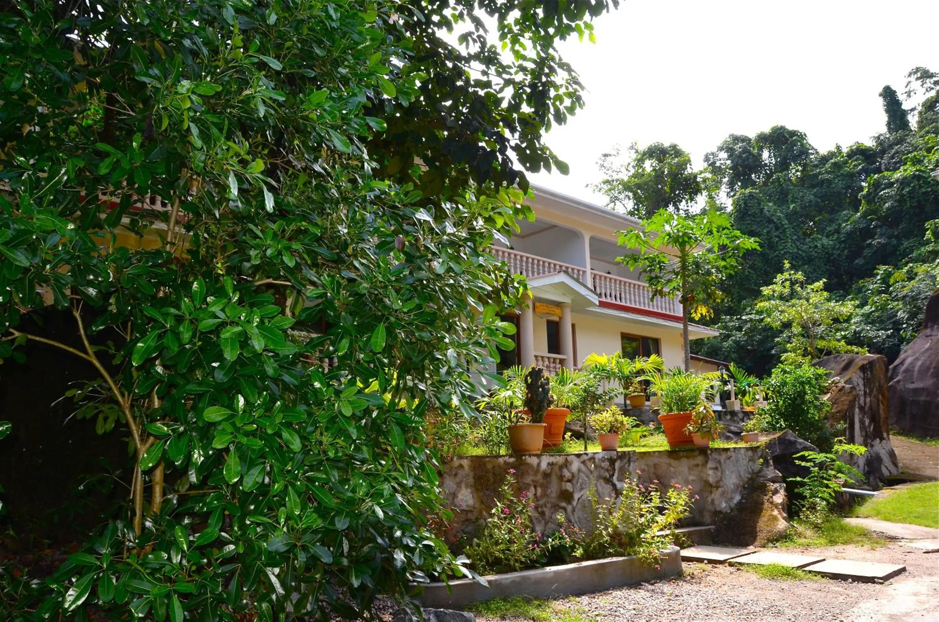 Facade/entrance in Forest Lodge
