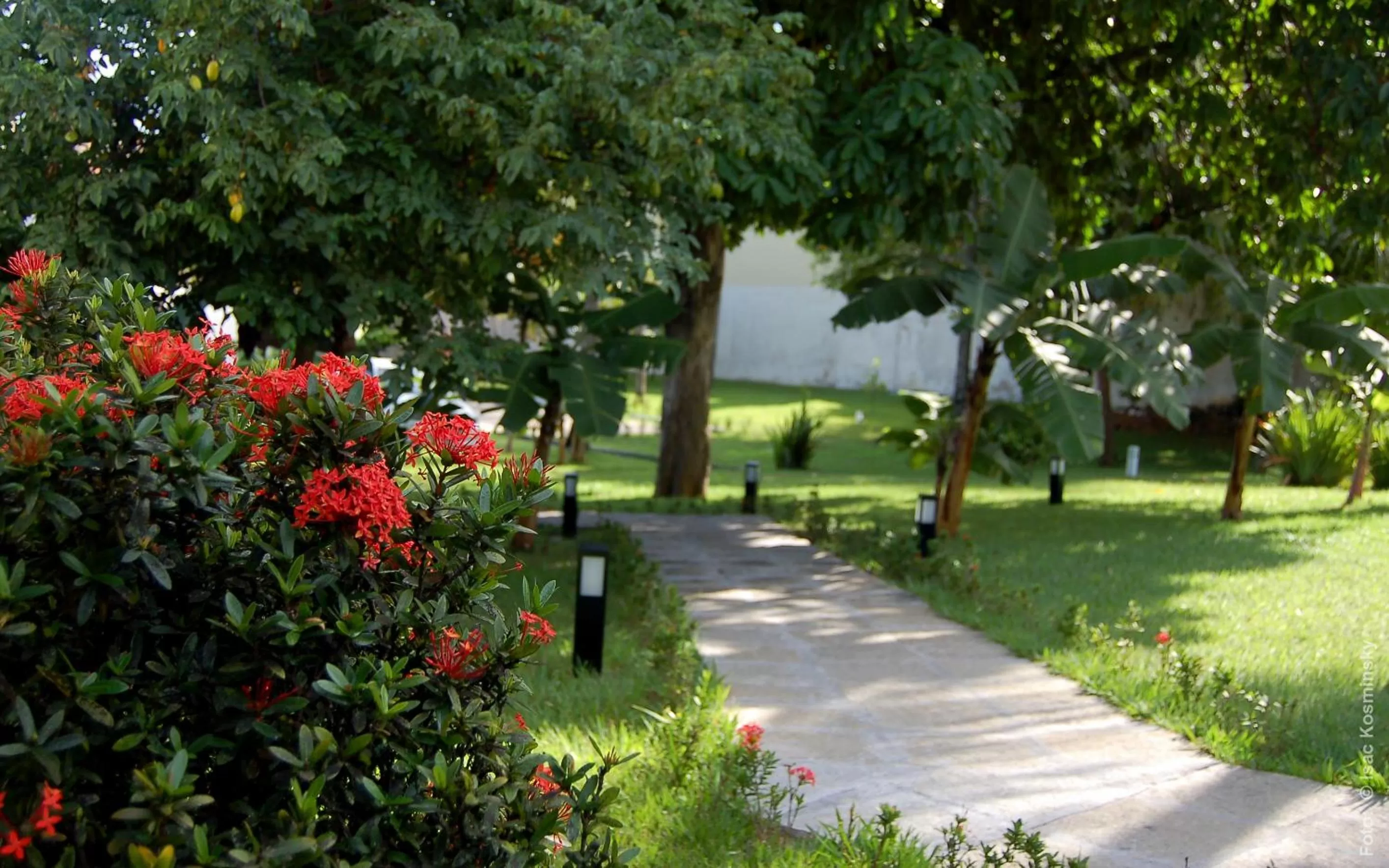 Day in Hotel Pousada Salvador Paradise