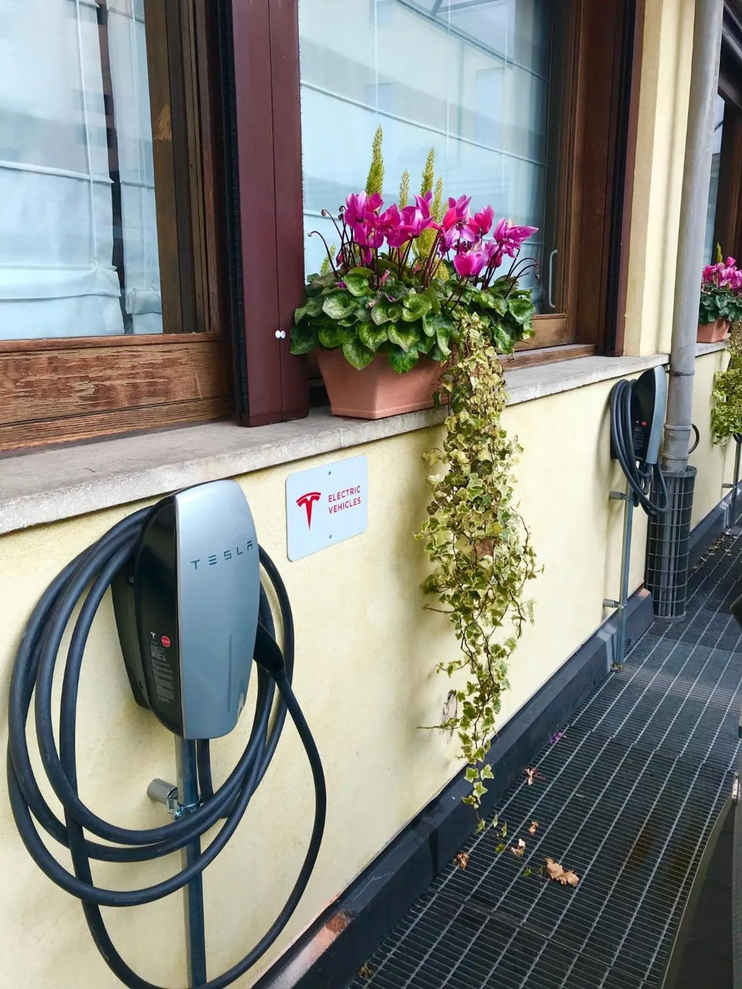 Area and facilities in Albergo Roma, BW Signature Collection