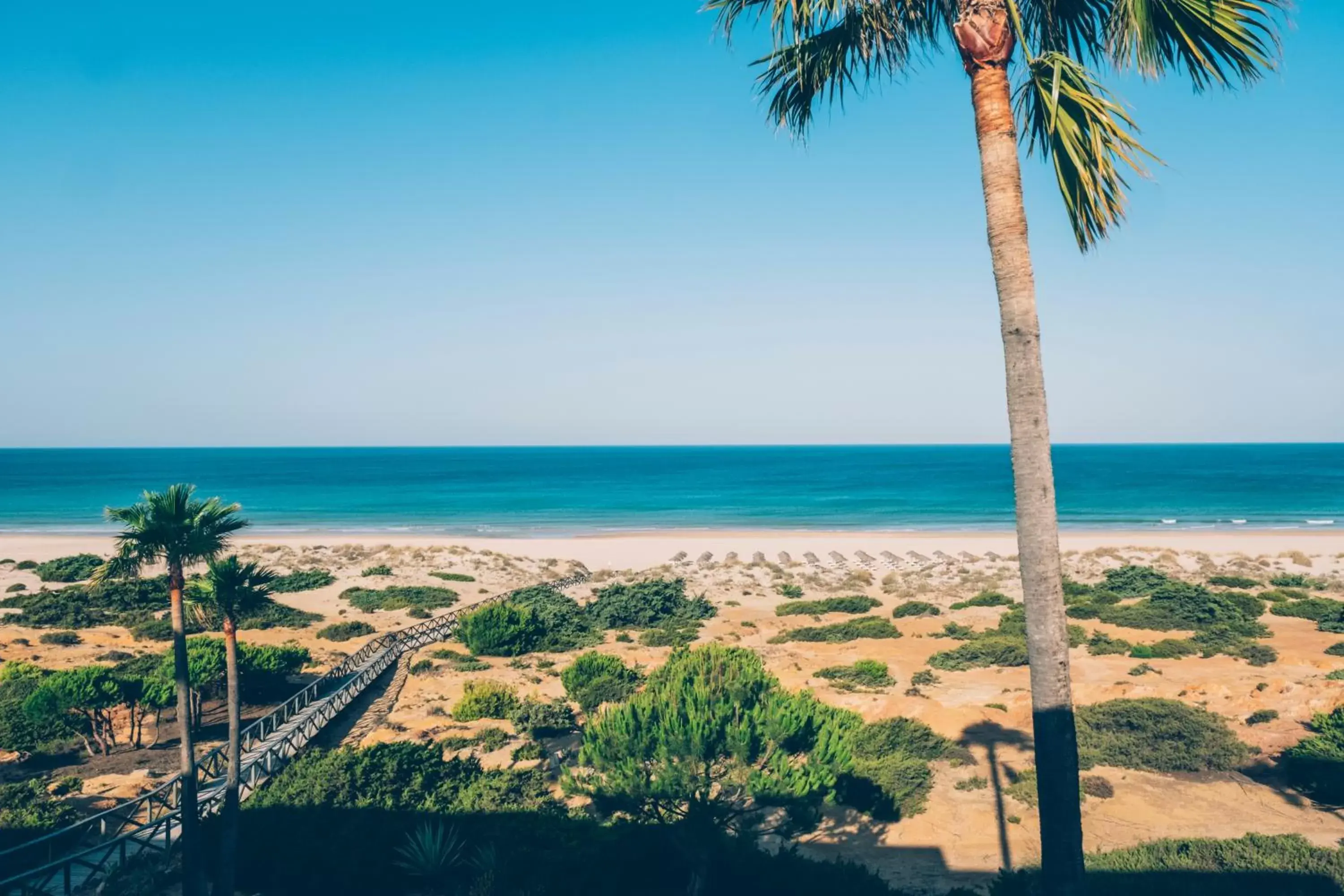 Natural landscape in Iberostar Royal Andalus